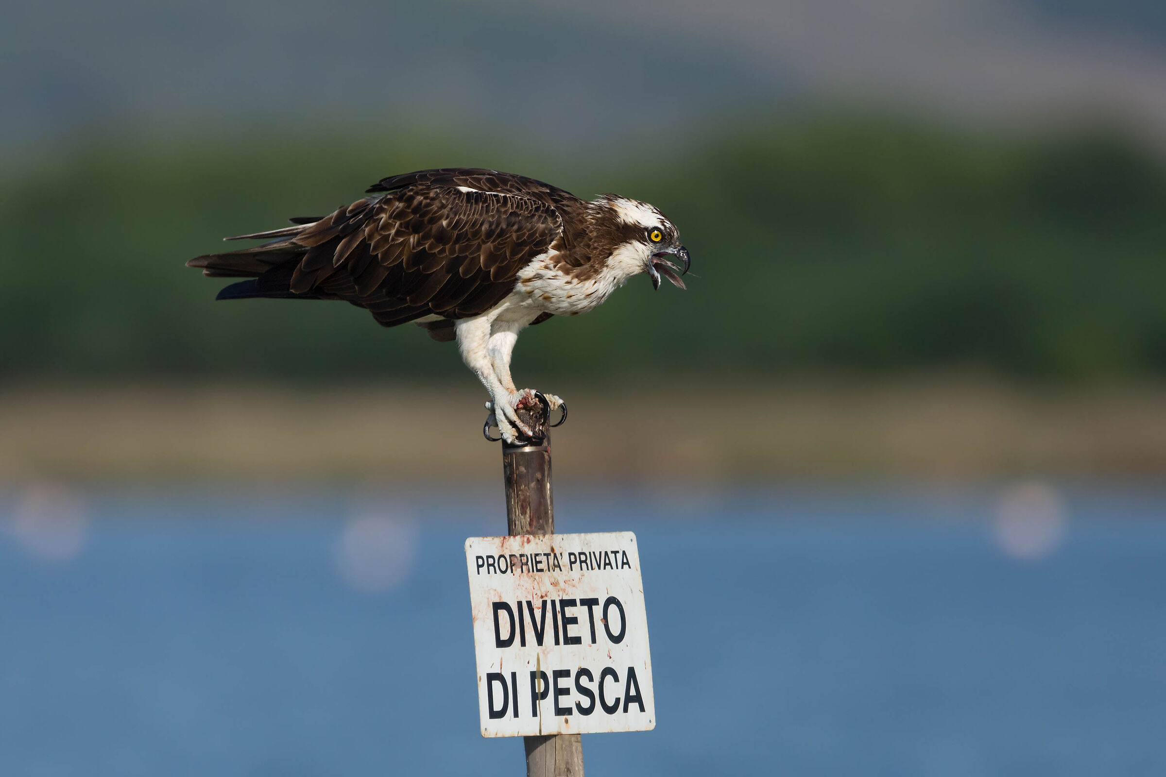 Non si butta via niente...