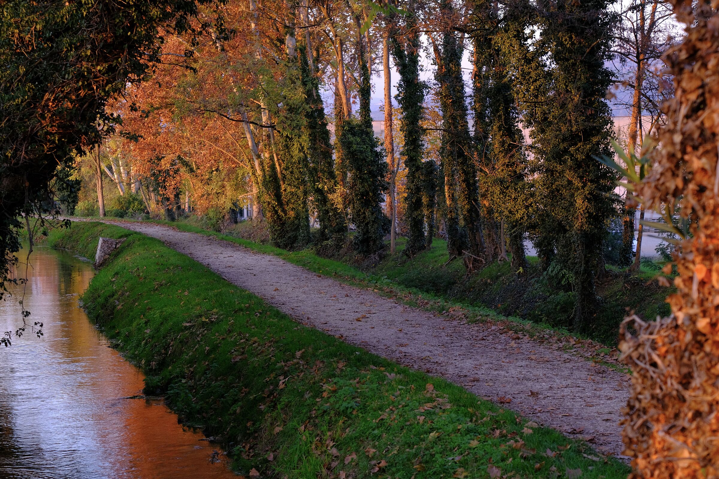 Veronese countryside in autumn