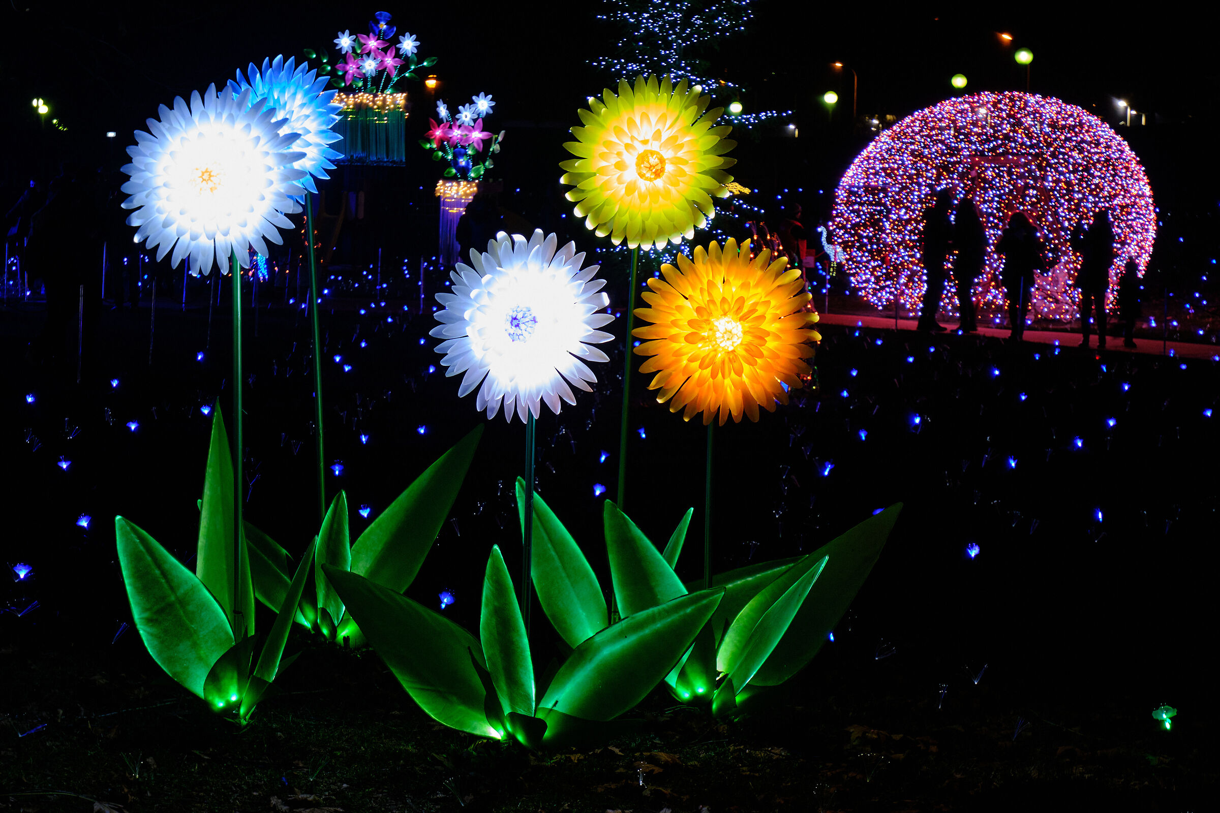 Christmas lights