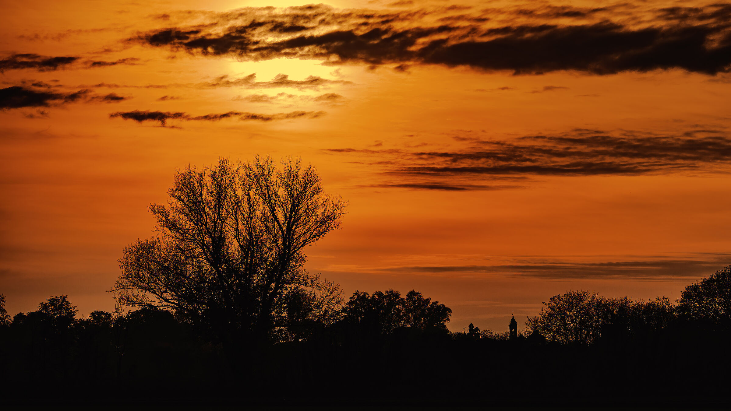 Rosso di sera..............