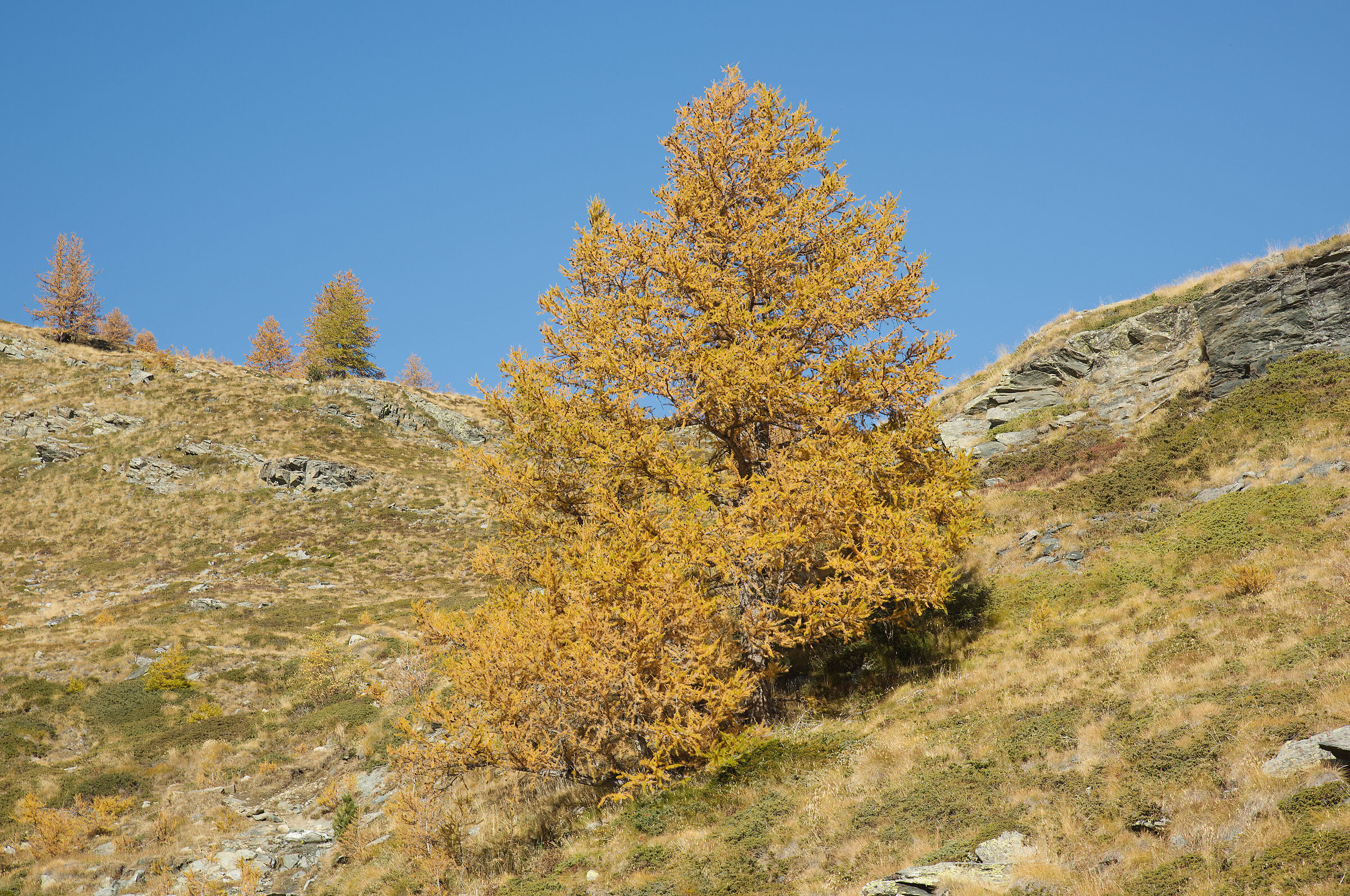 autumn in Val d'Aosta October 2021