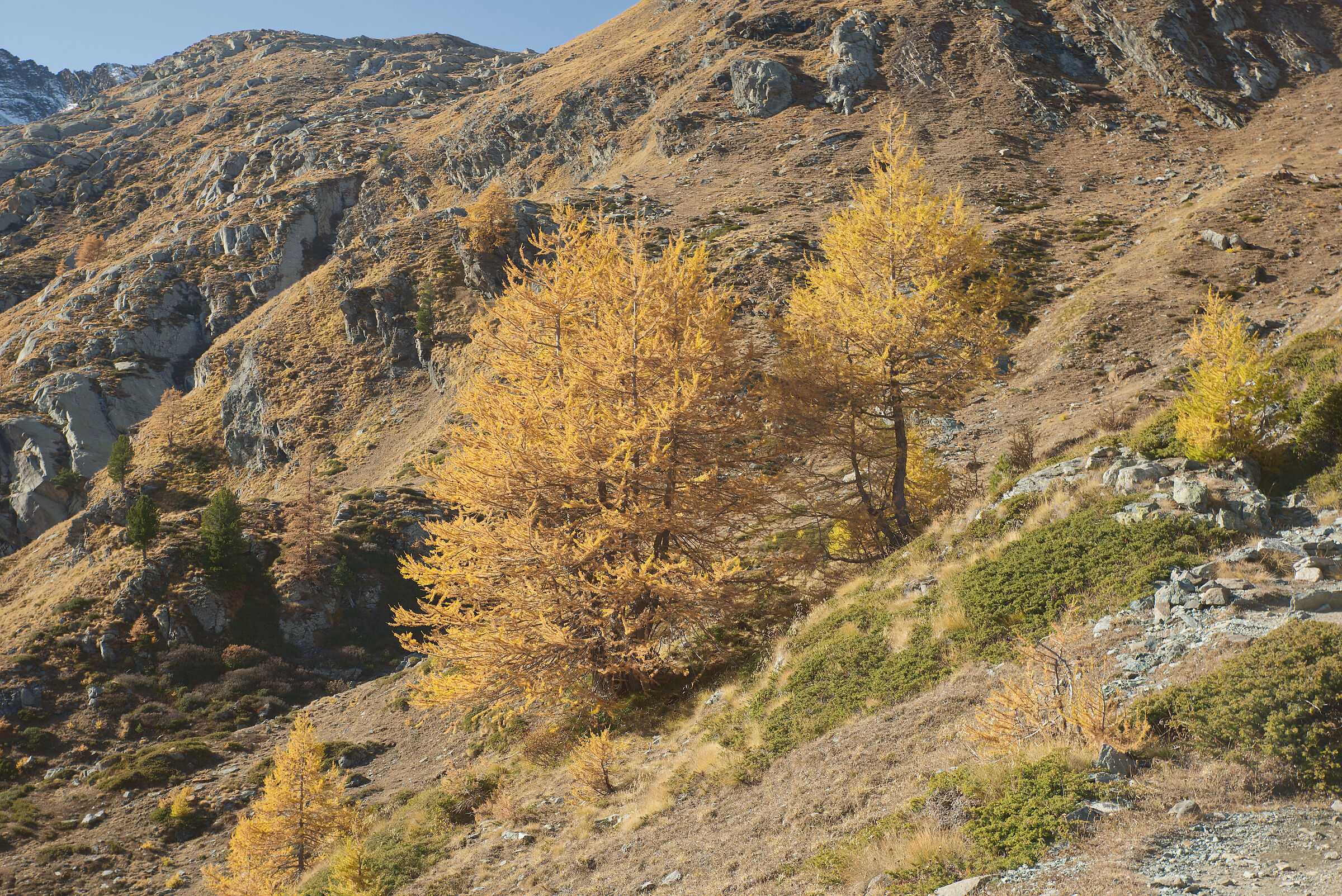 autumn in Val d'Aosta October 2021