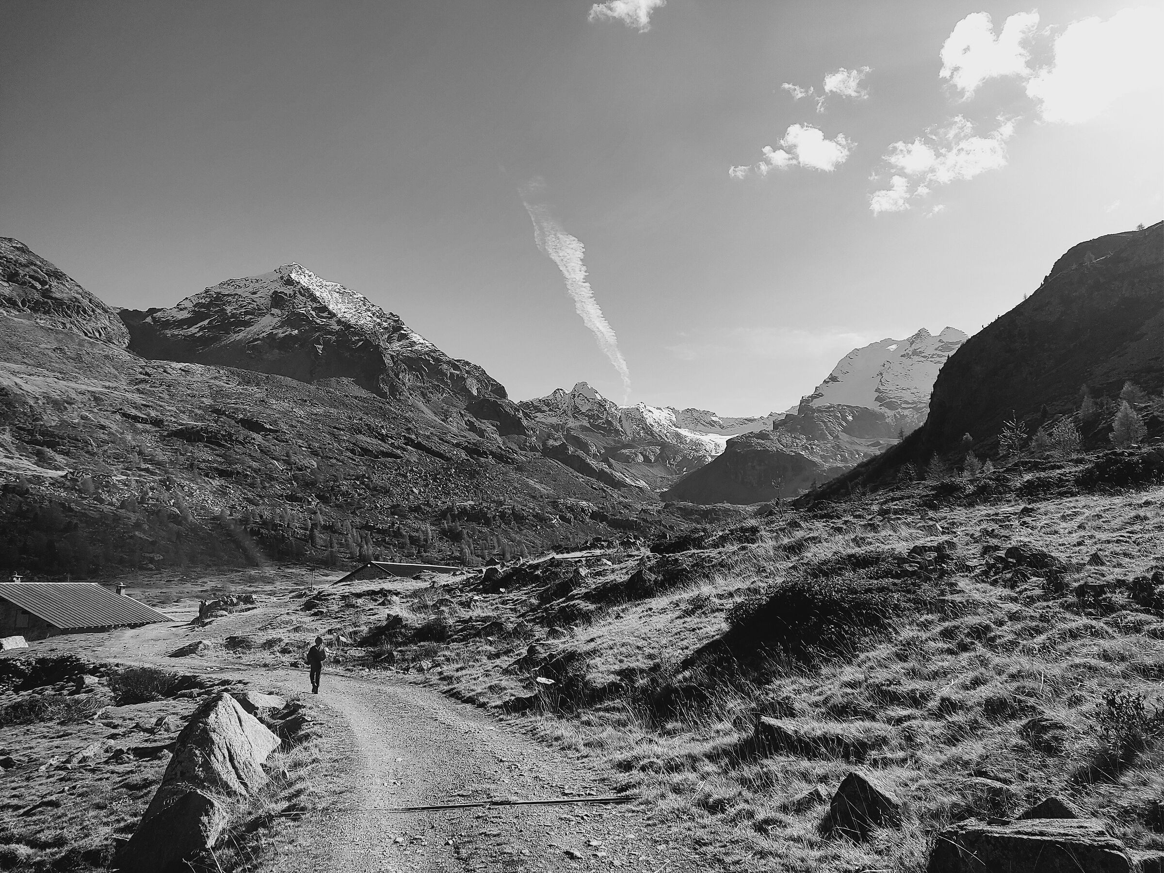 Lungo la strada...