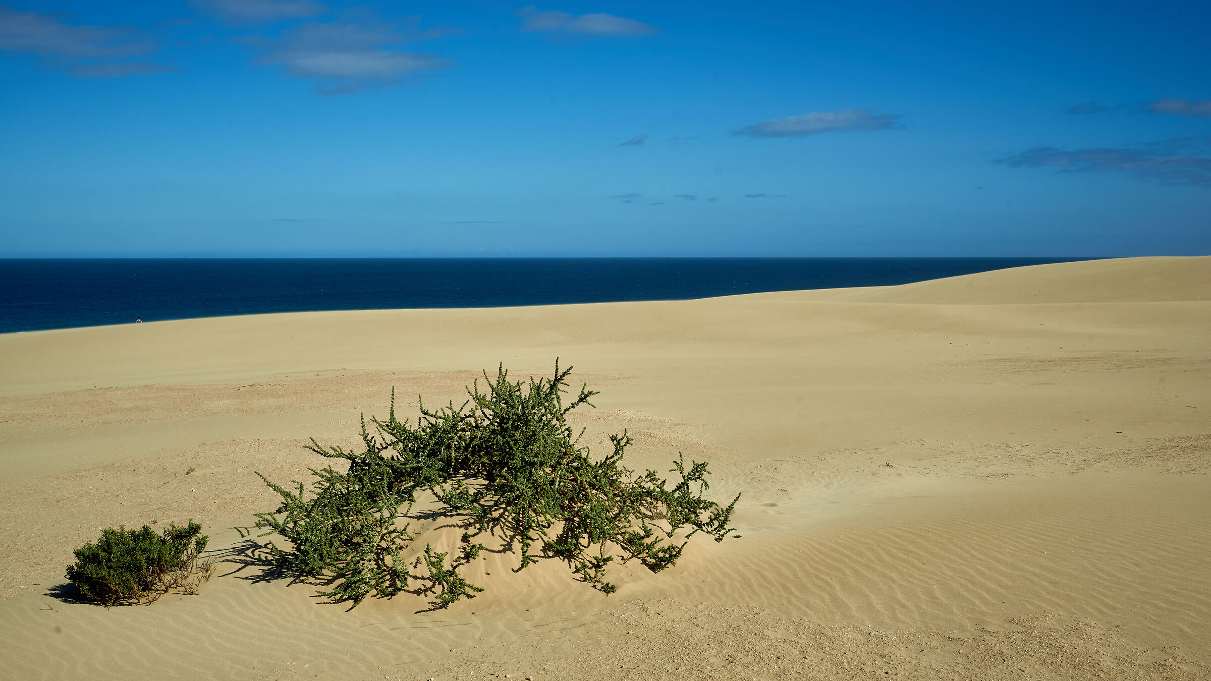 Dune di Corralejo, fuerteventura