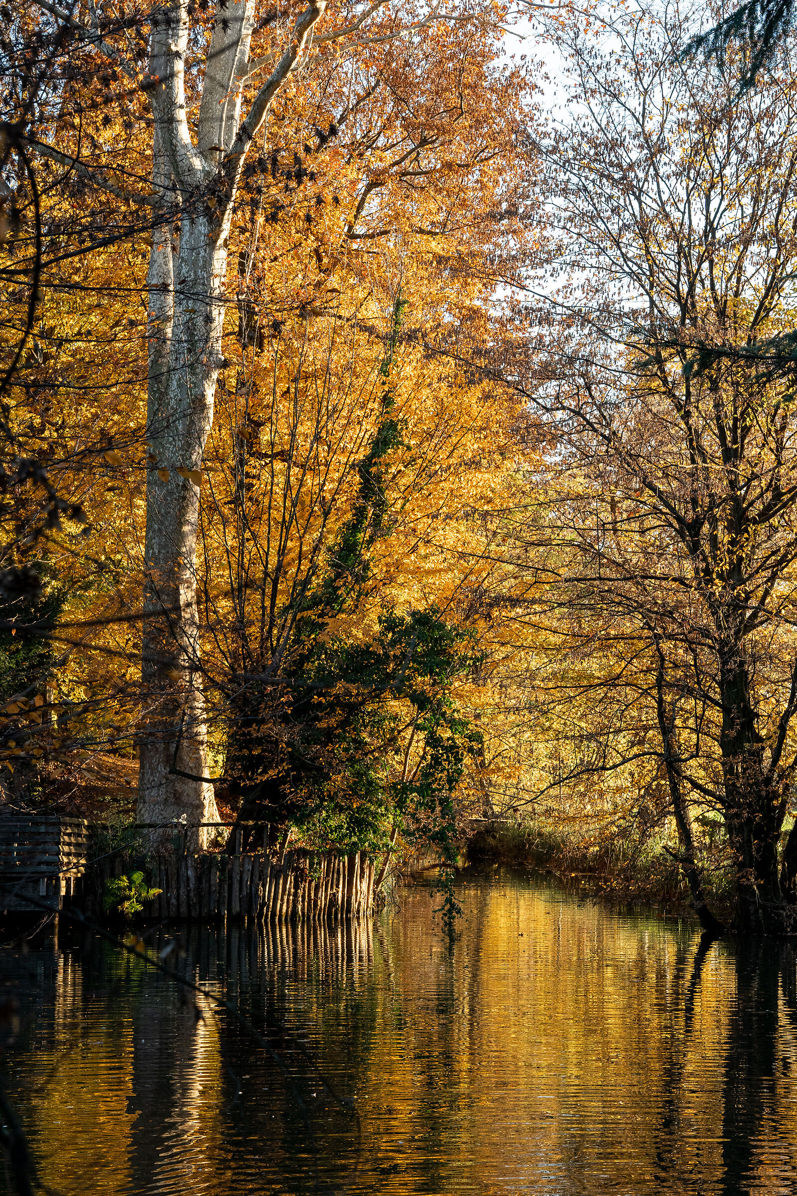 La primavera è pittrice, l'autunno è scult...