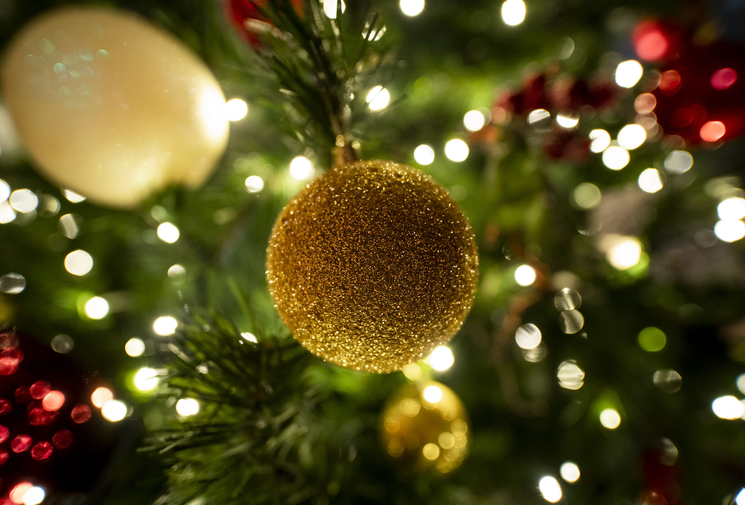 Christmas is coming...