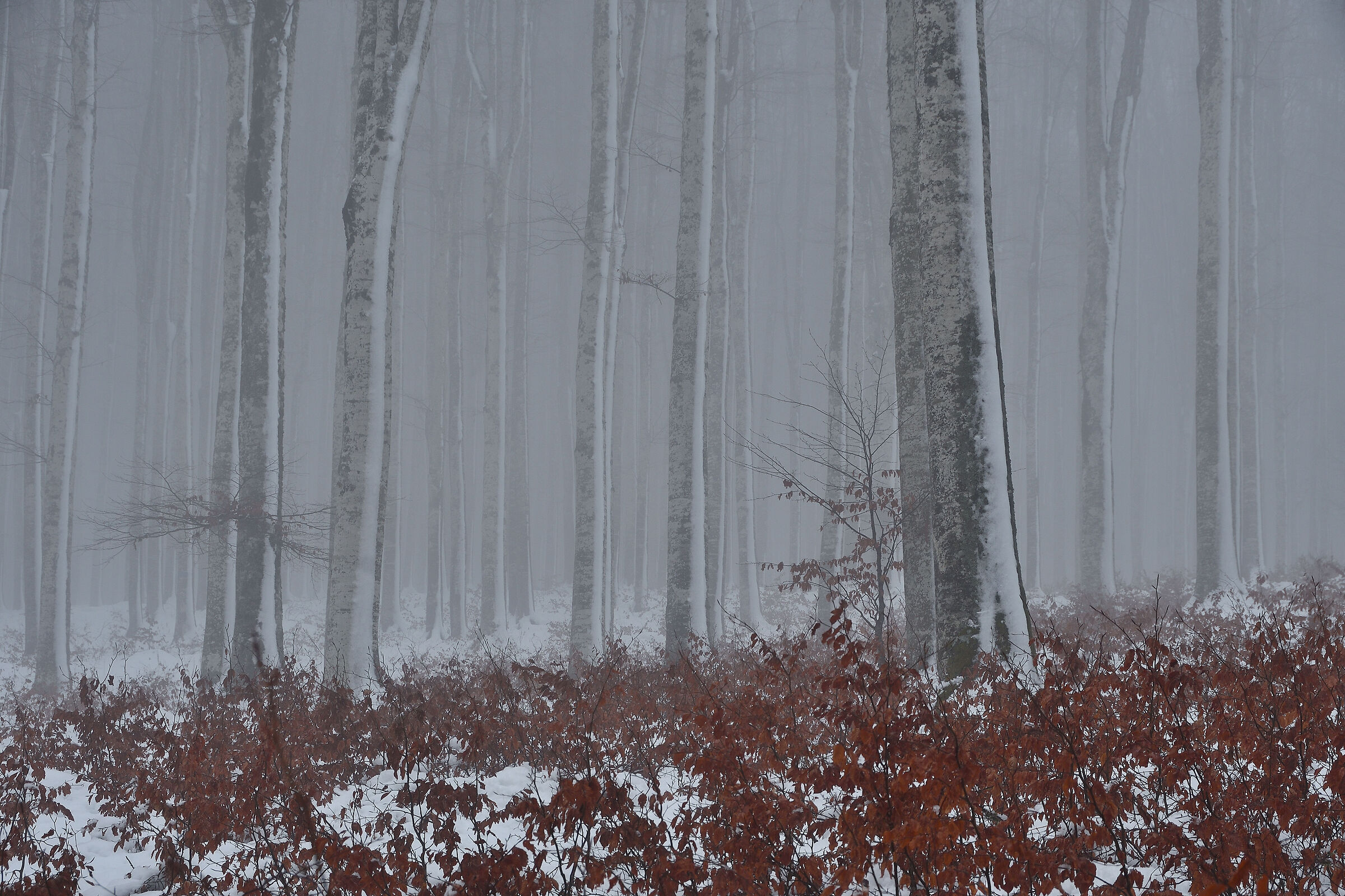 Silence
