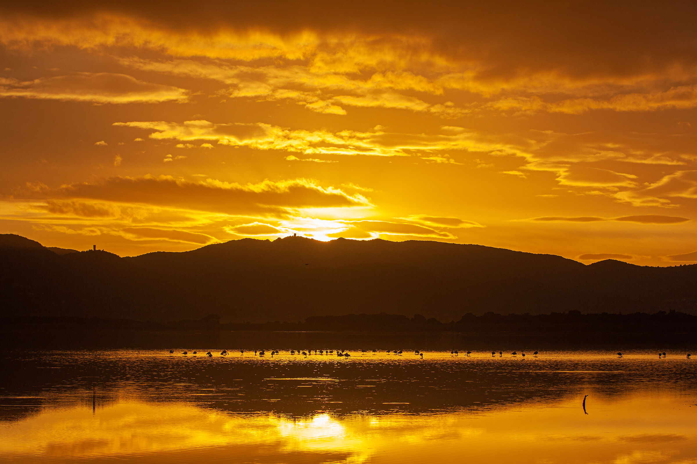 Orbetello lagoon