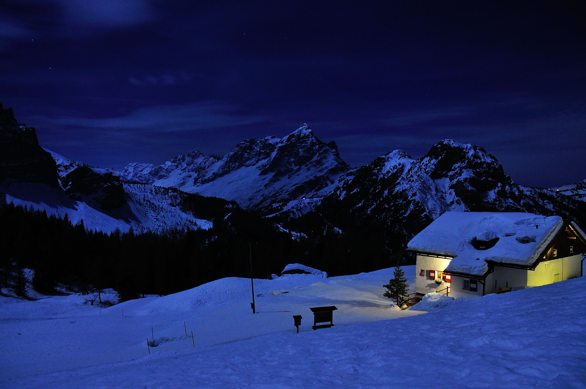 White in the dark night