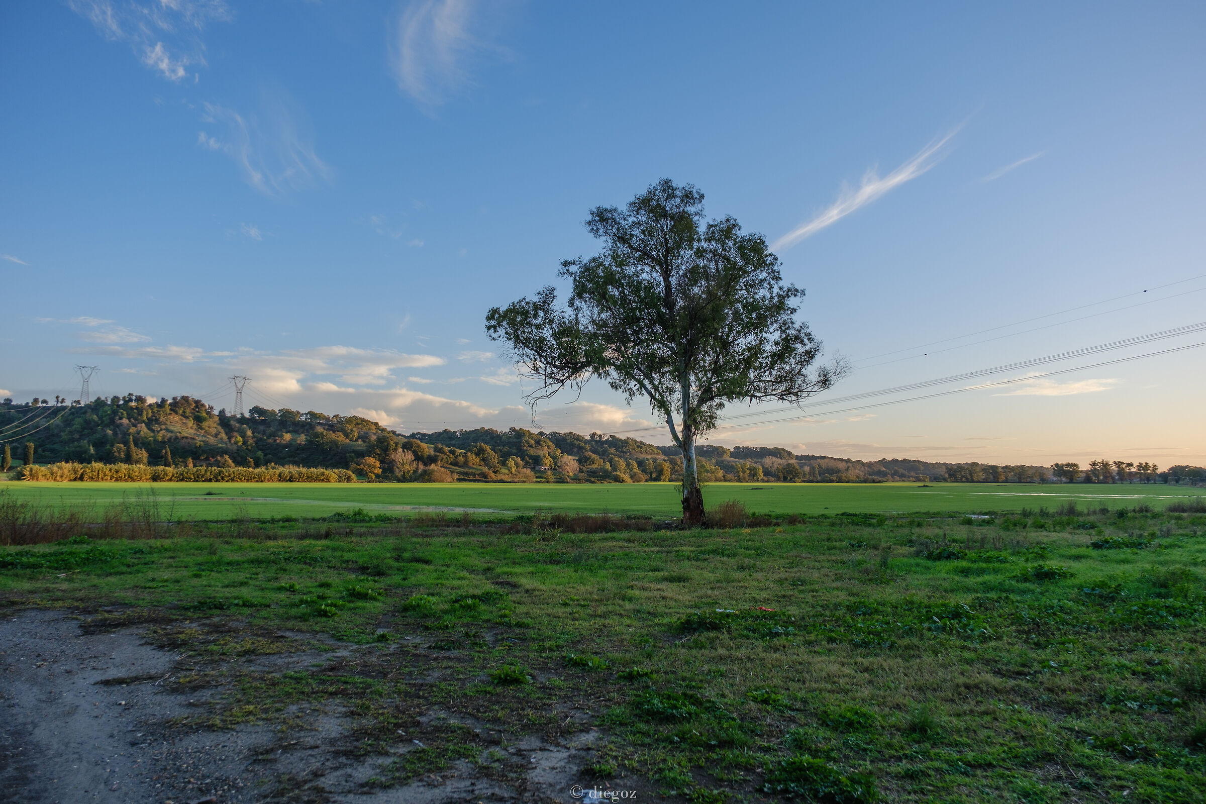 Roman countryside
