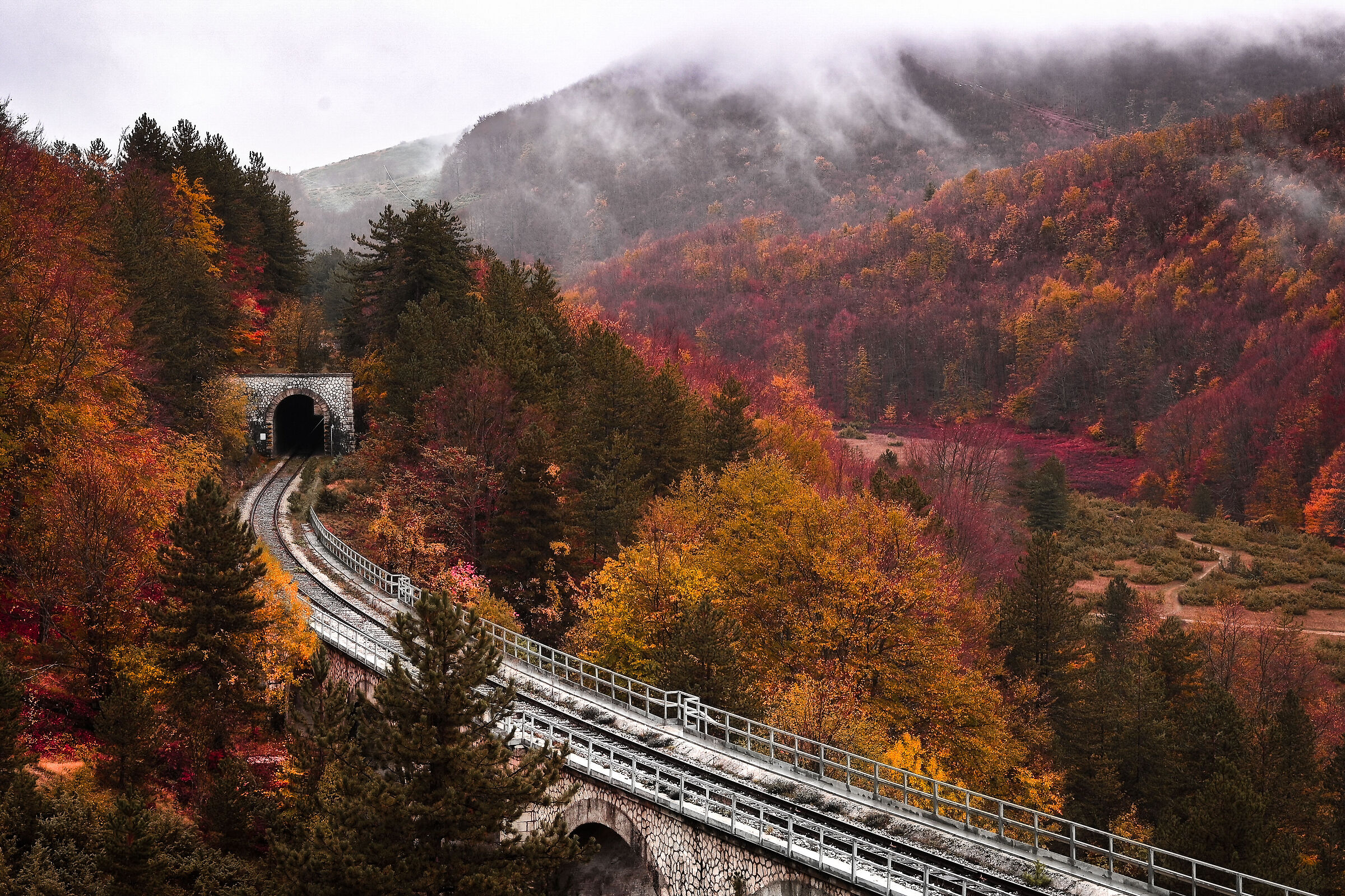 Through Autumn.