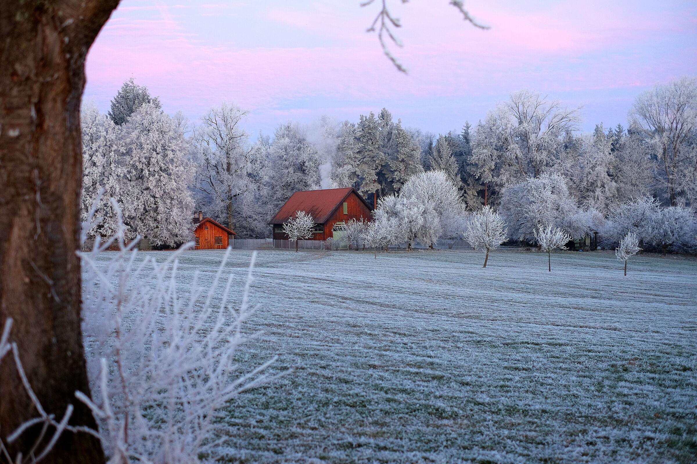 Barn in frosty morning light