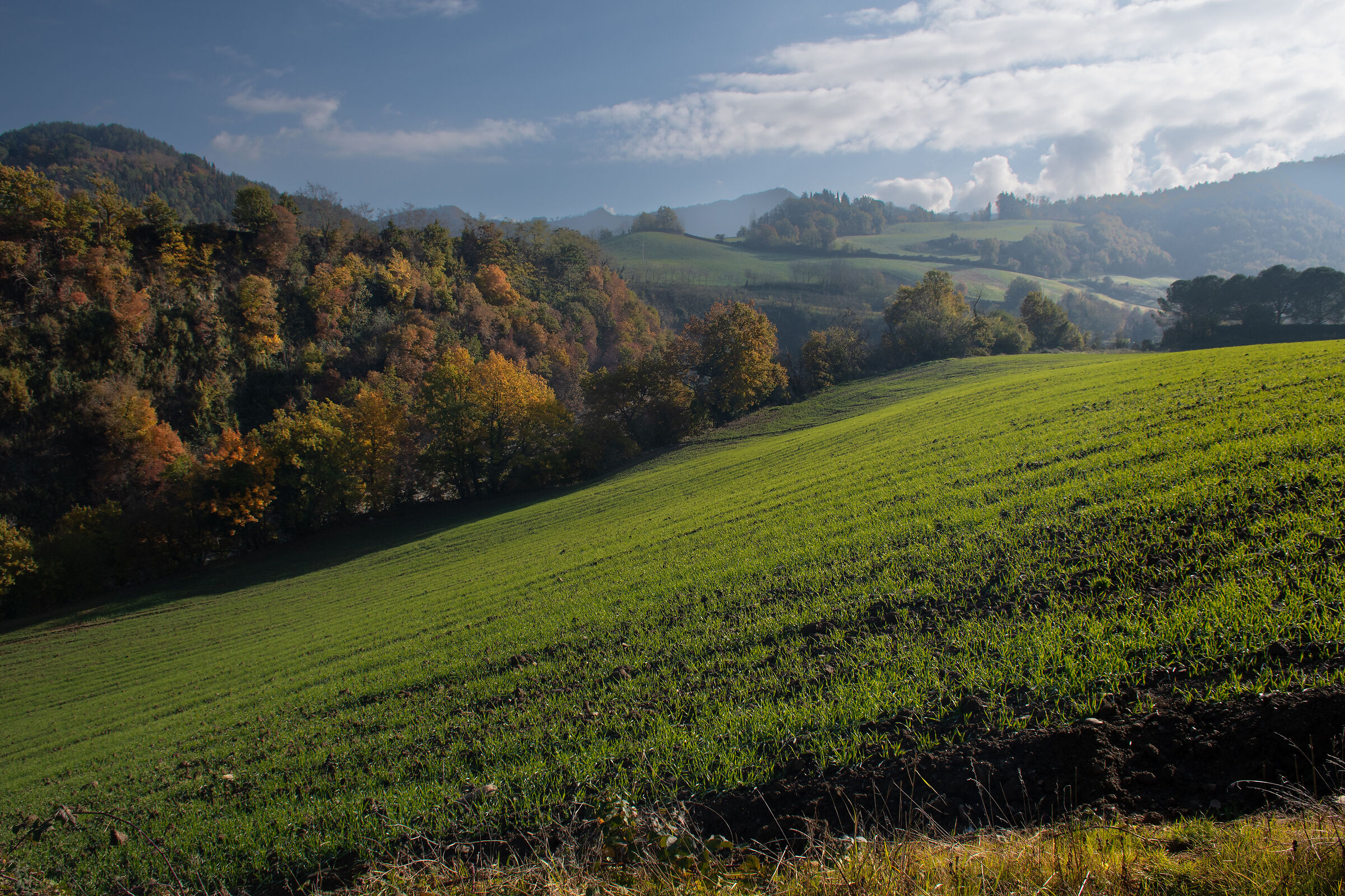 Autumn in the Senio Valley