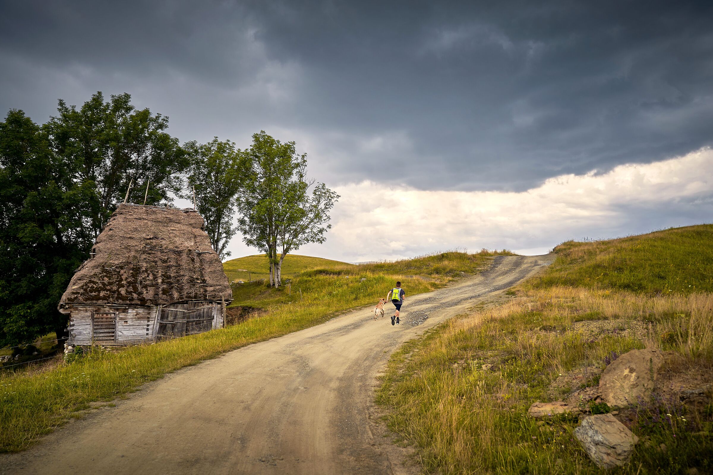 passeggiata nella natura