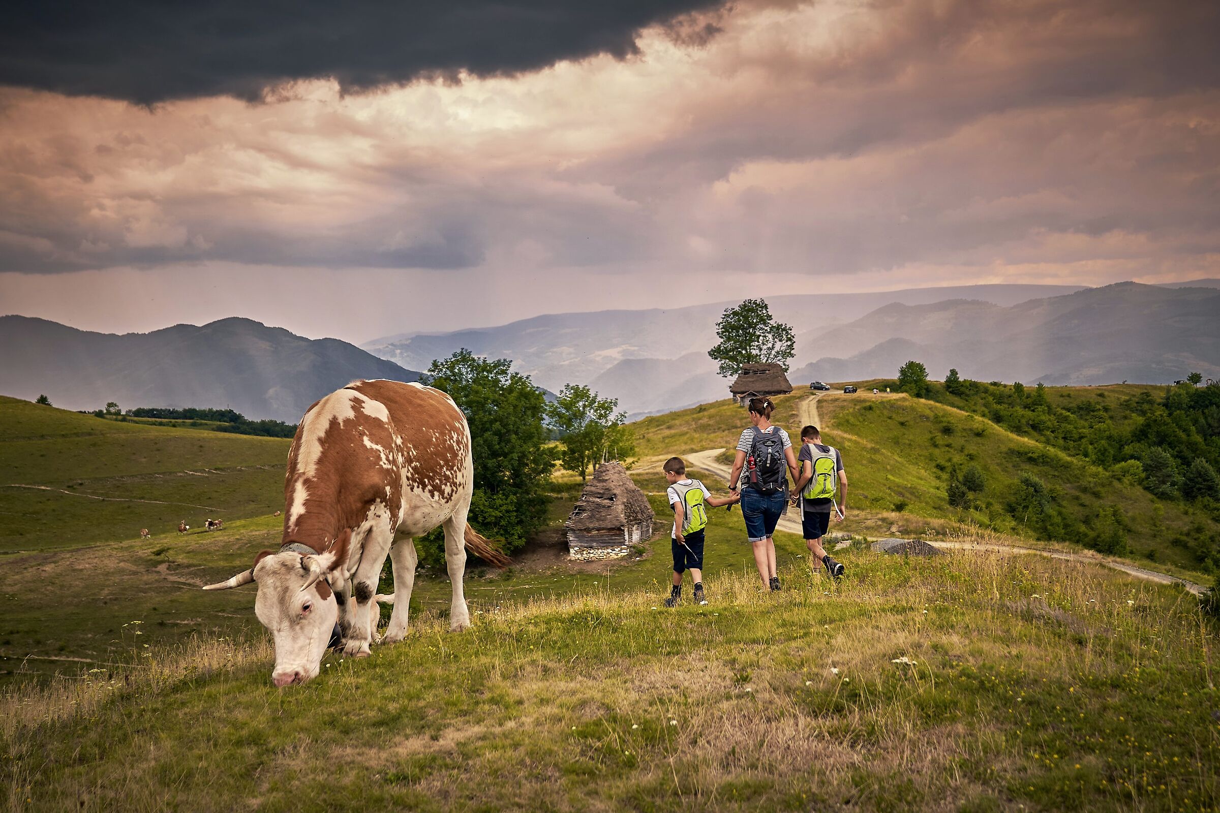 passeggiata nella natura
