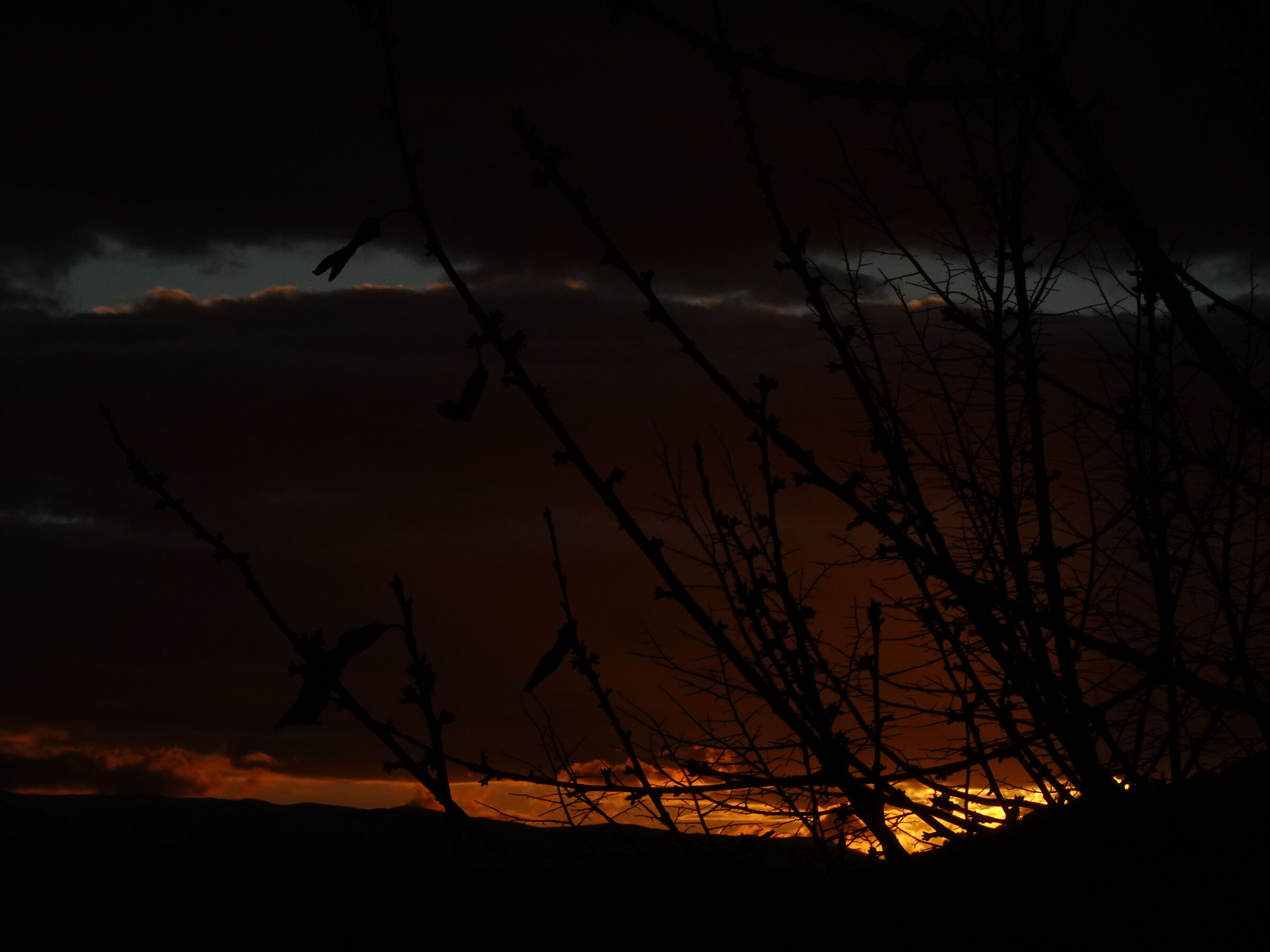 Sunset from the office