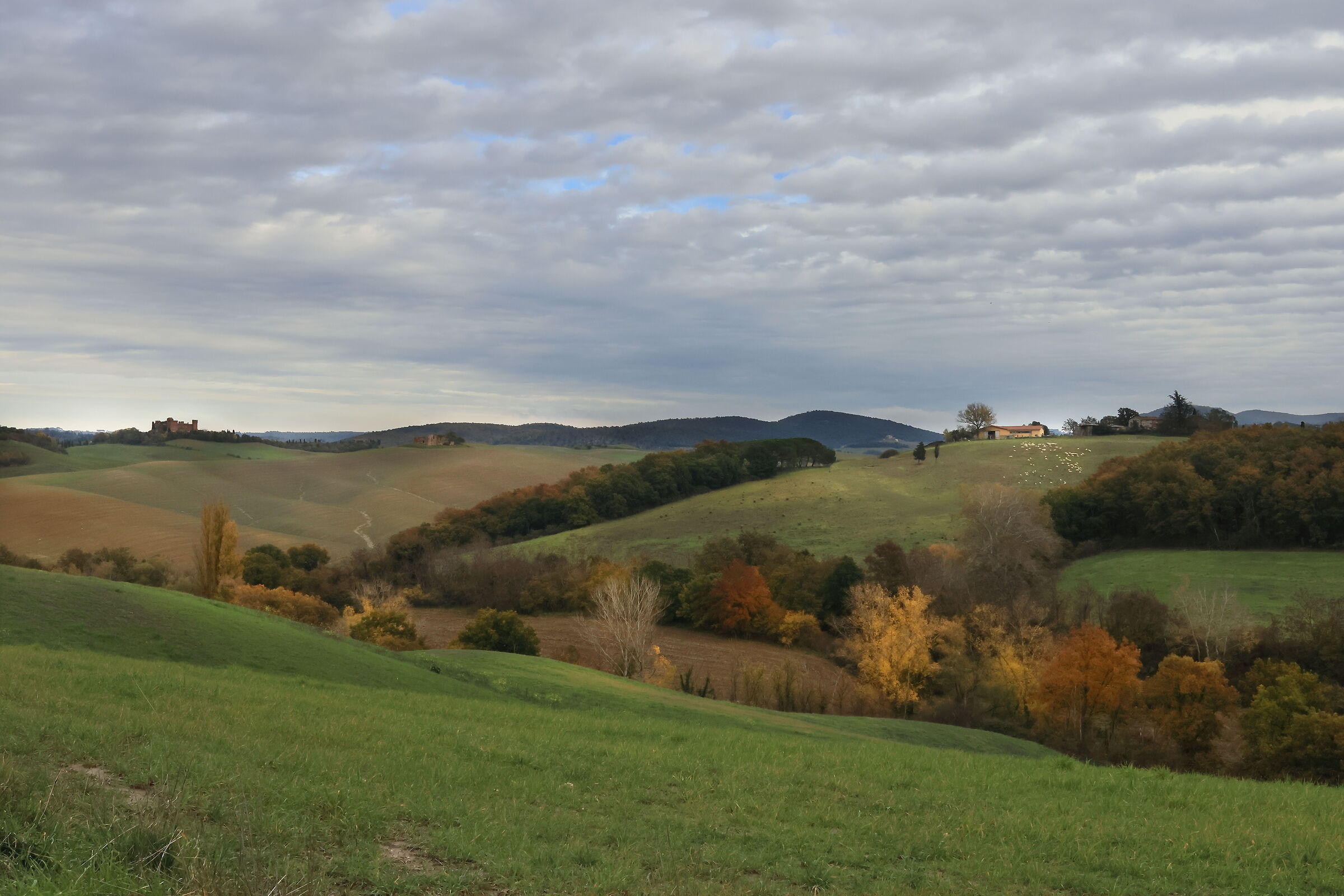 Val d'Arbia in Autunno
