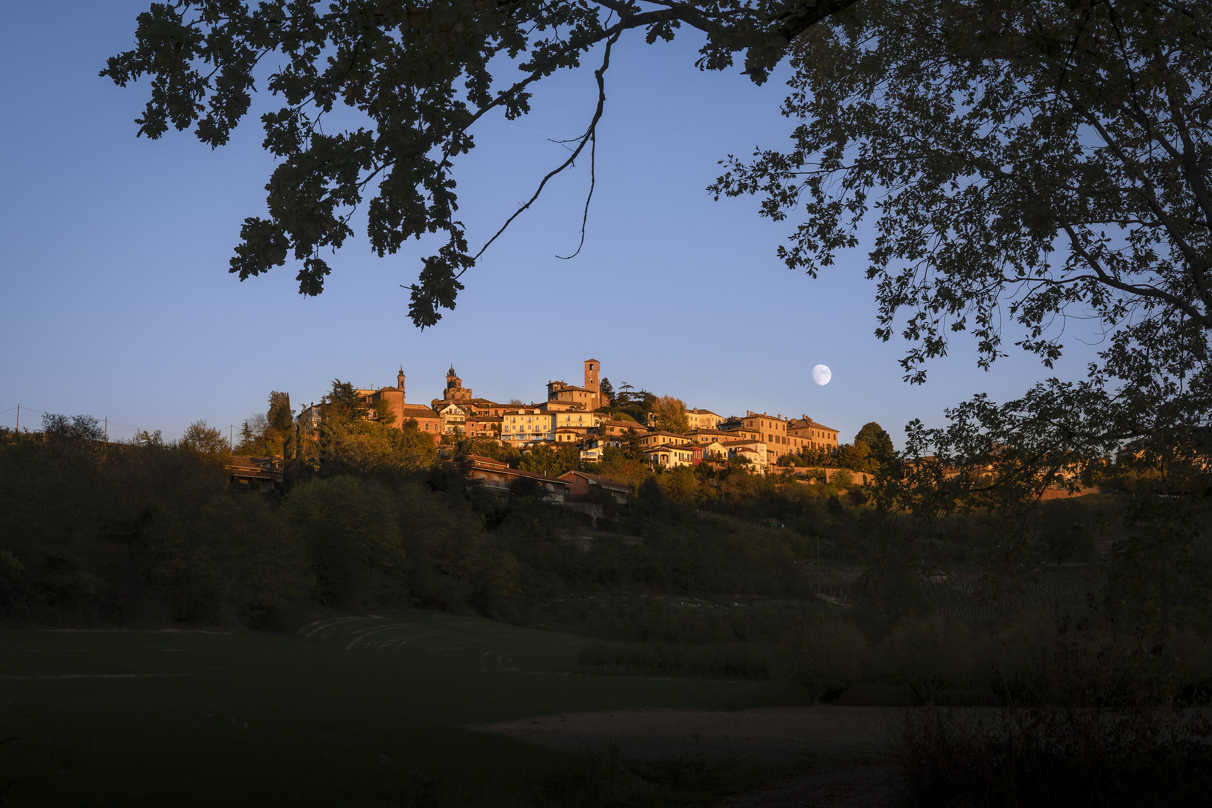 Langhe