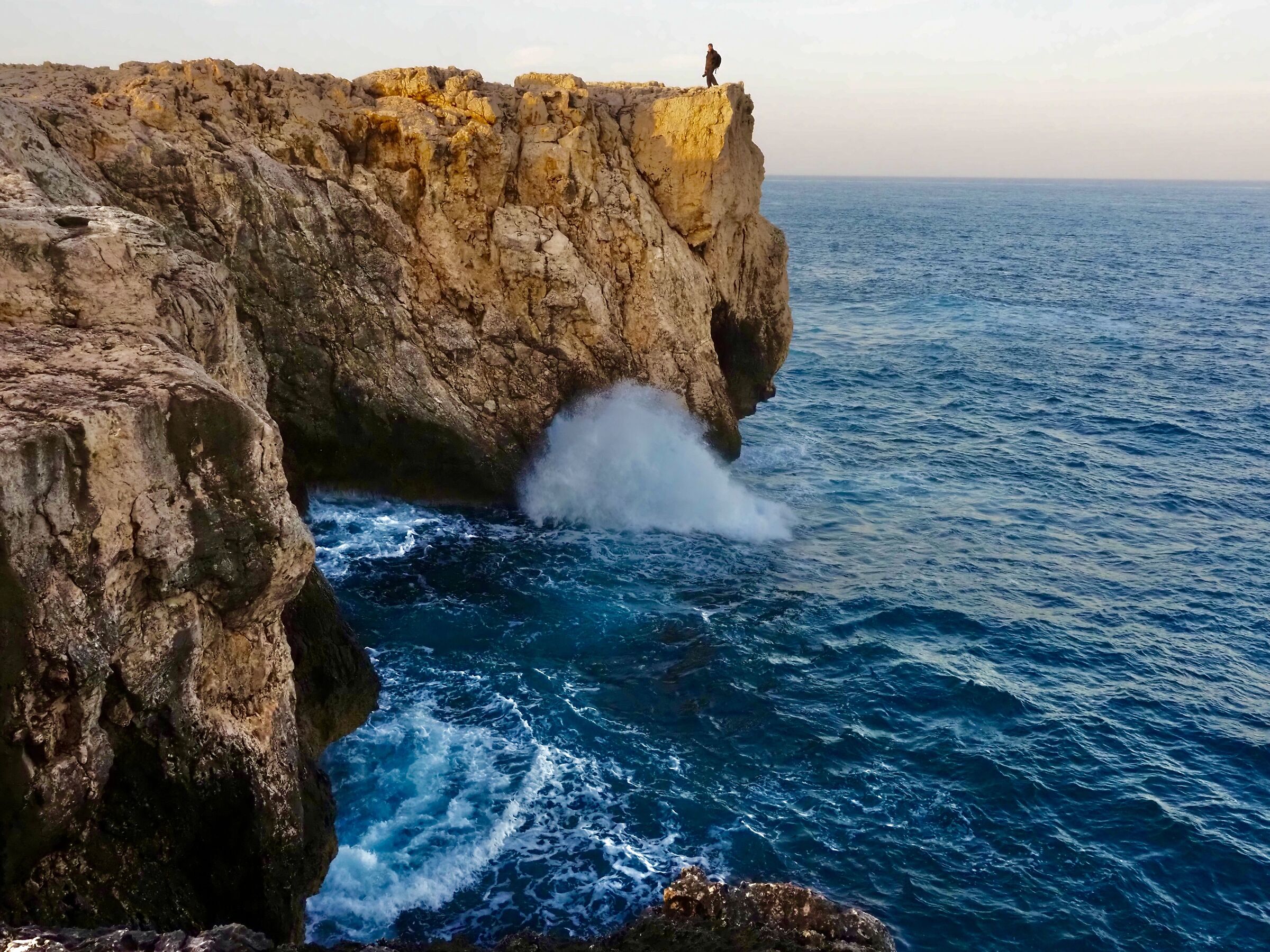 Capo murro di porco