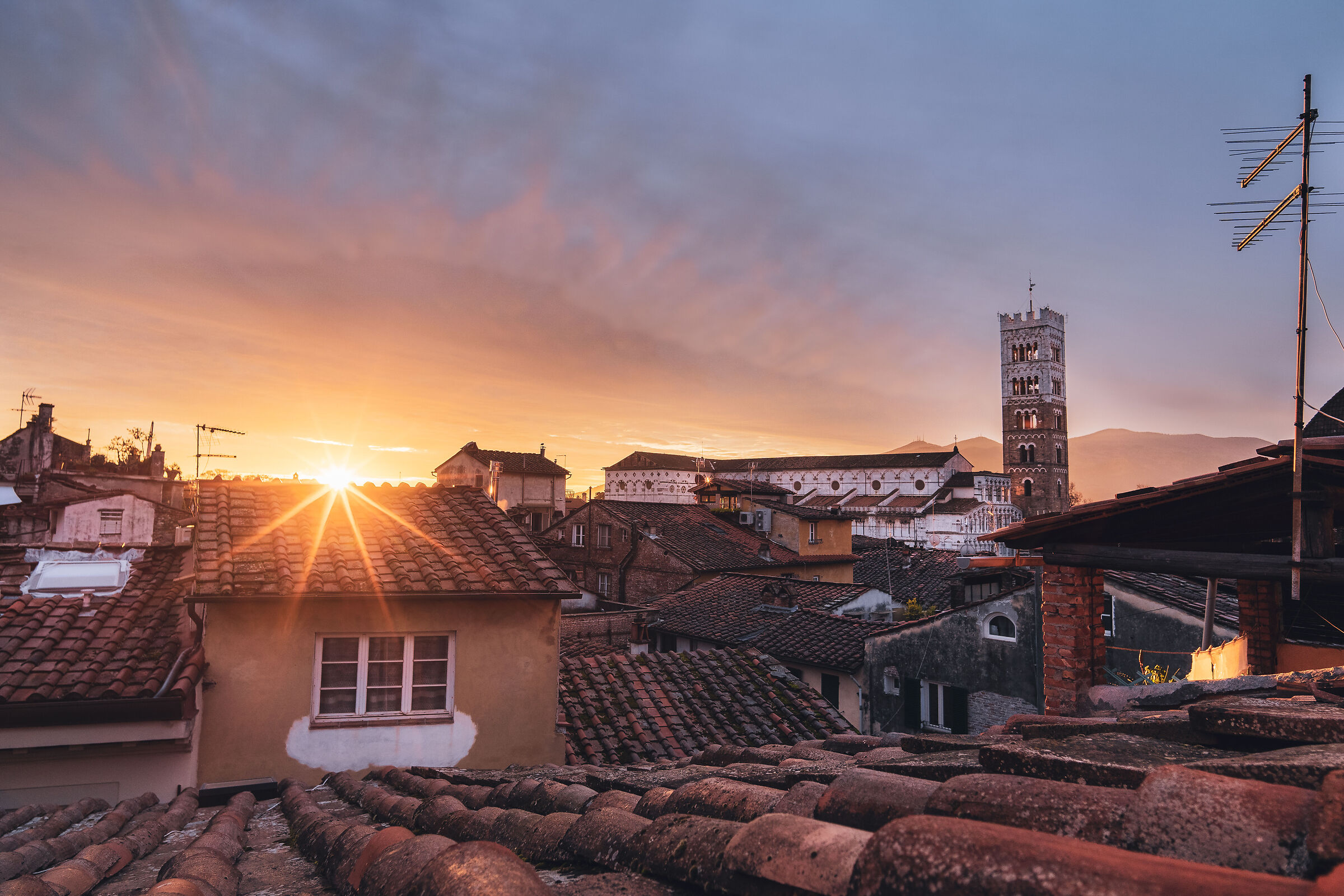 I tetti di Lucca