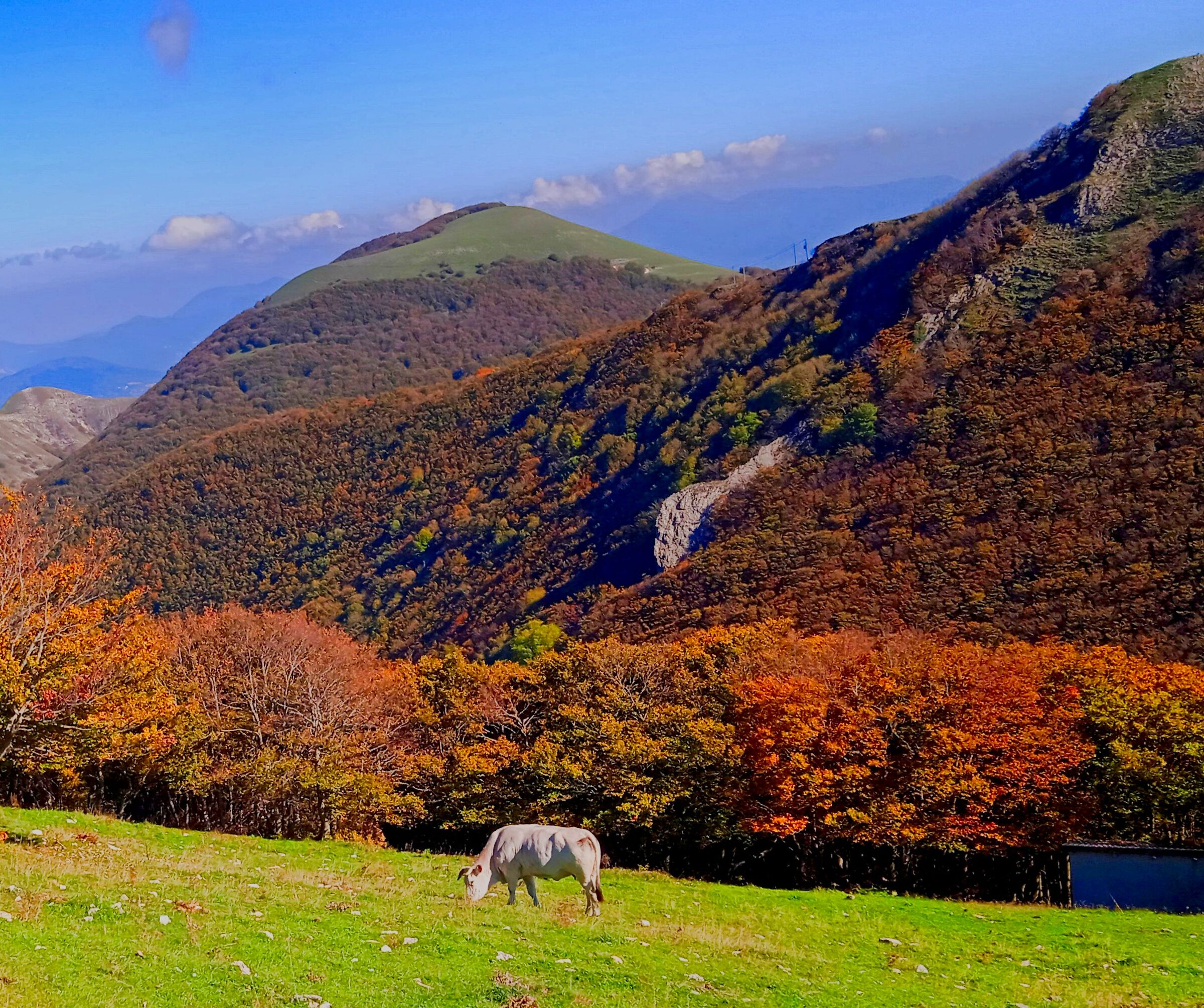 Mount Cucco