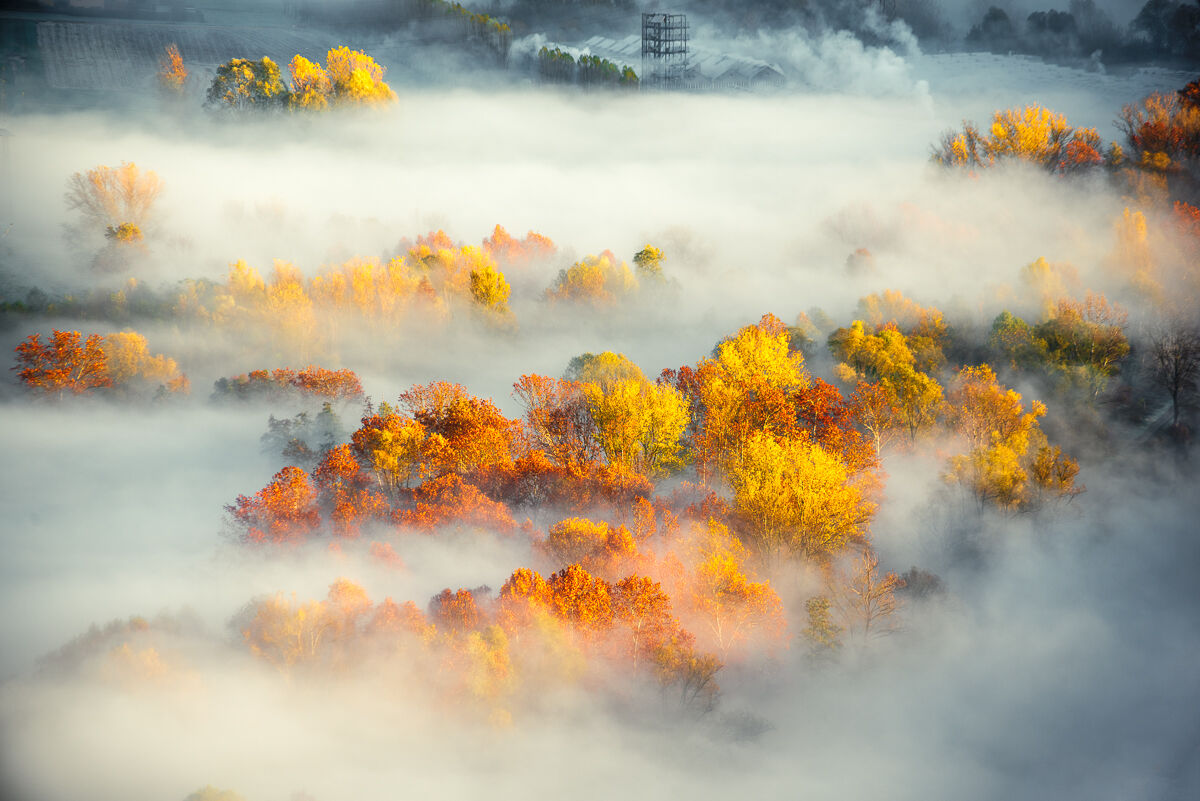 Untitled Photo