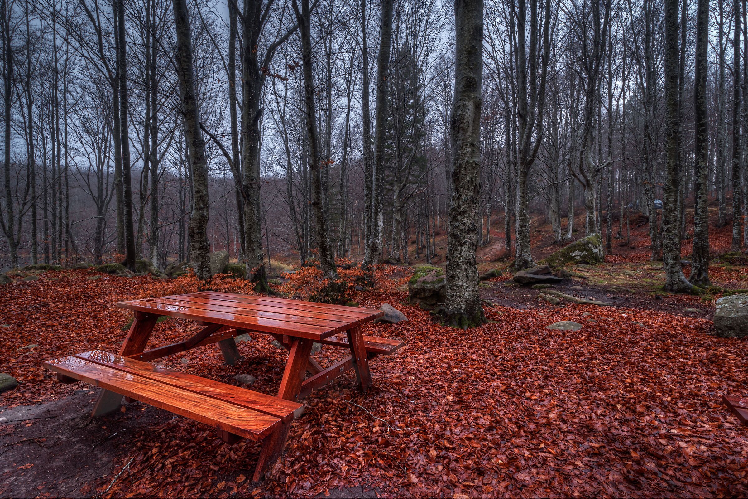 Area pic-nic Lago Pranda