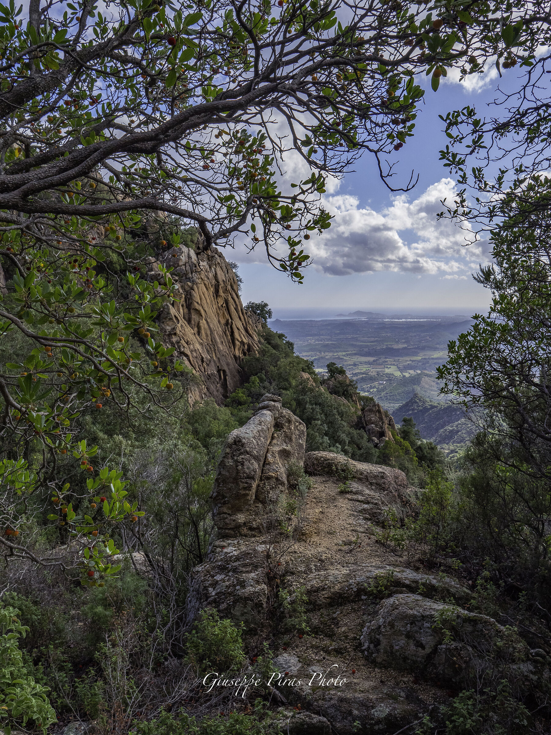 Terre Antiche - Ogliastra, Sardegna