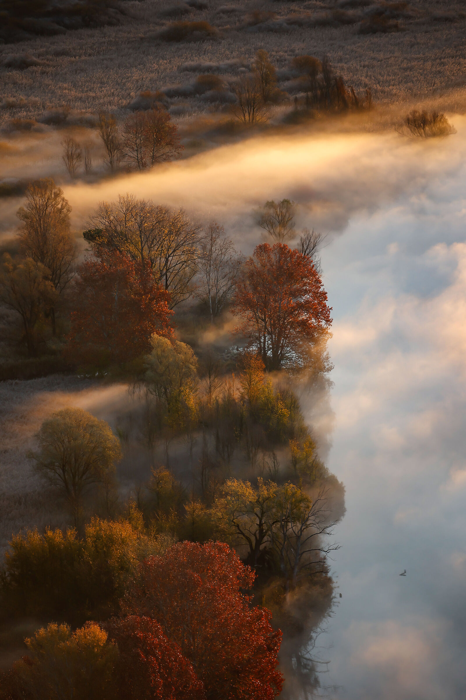 Tra la nebbia