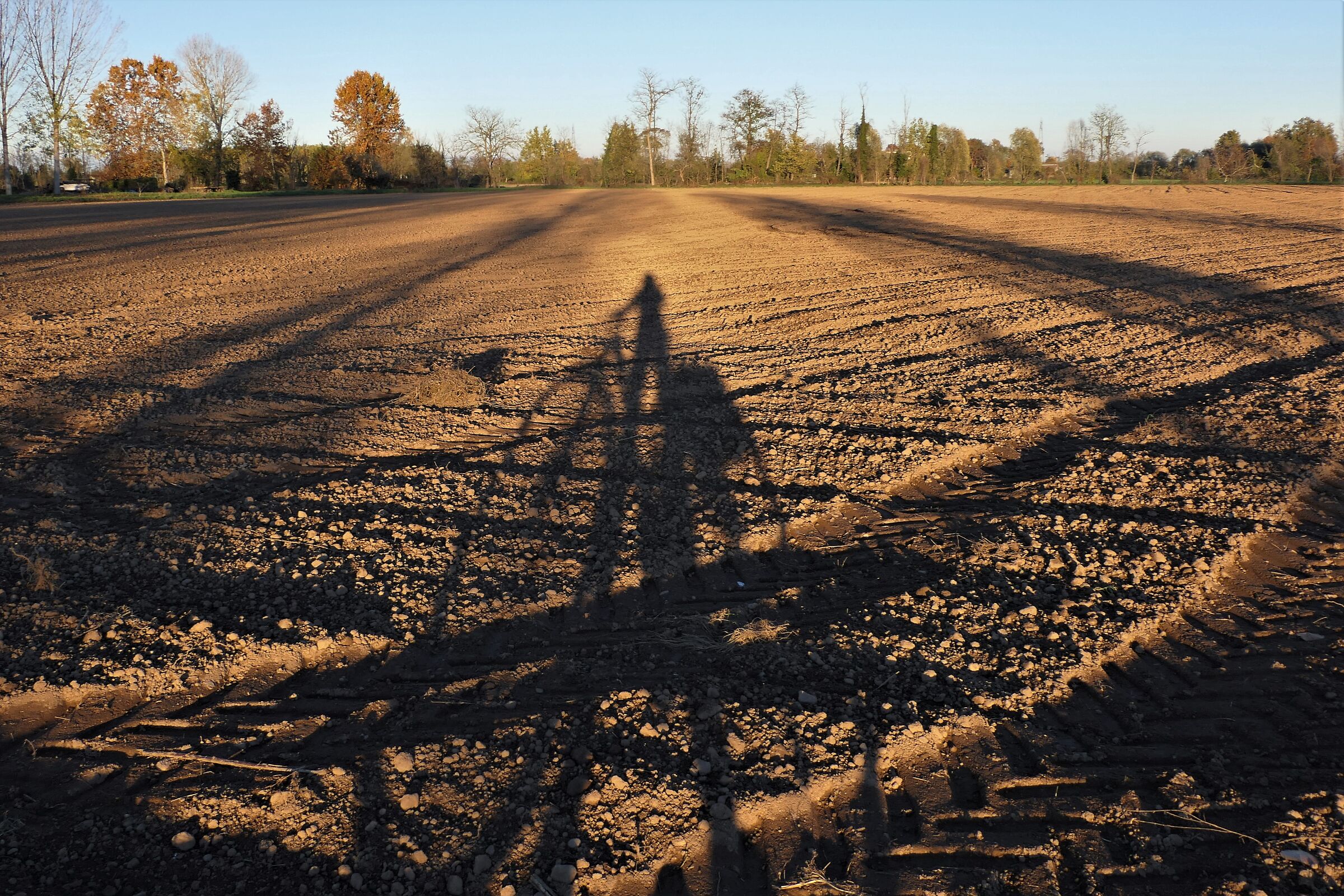 prospettiva di fine autunno