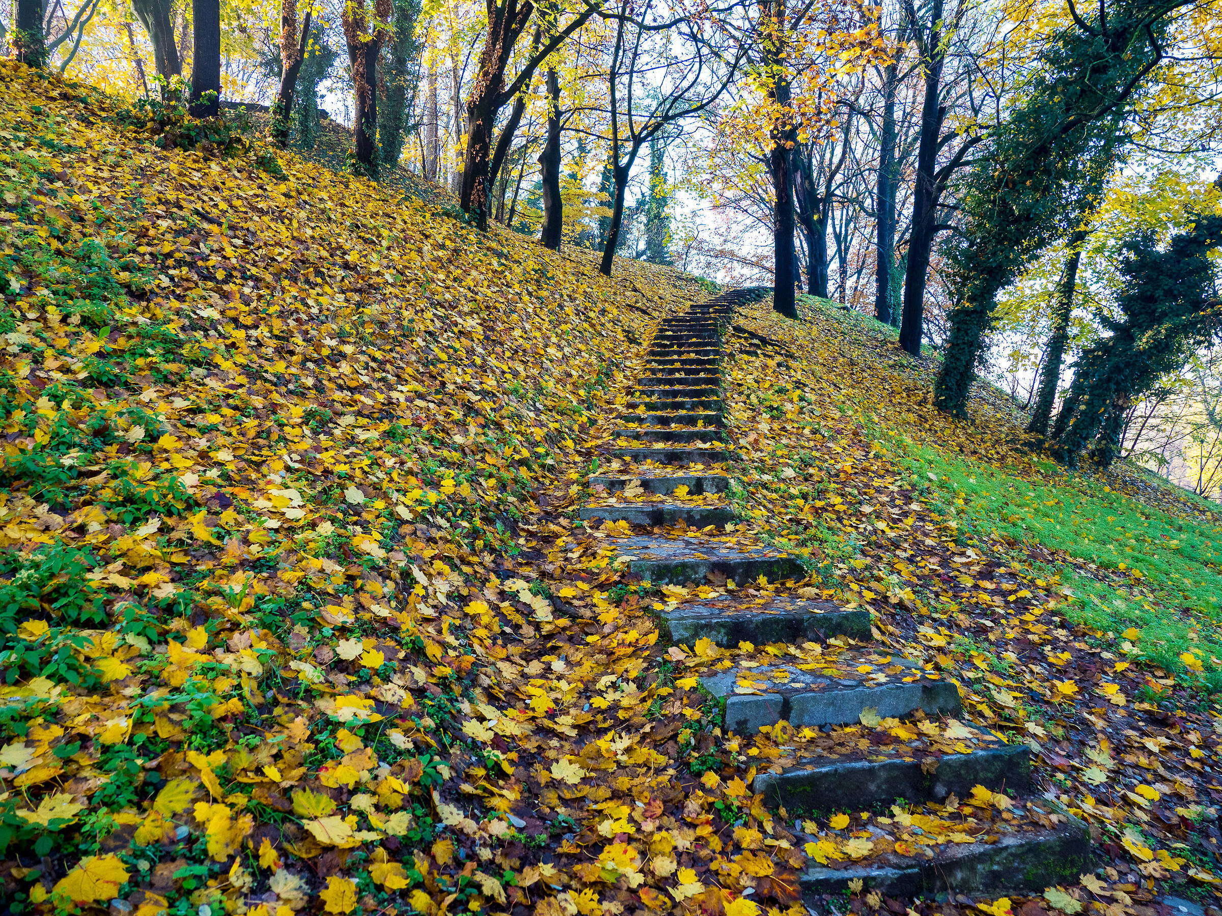 the hill of Parco Lambro