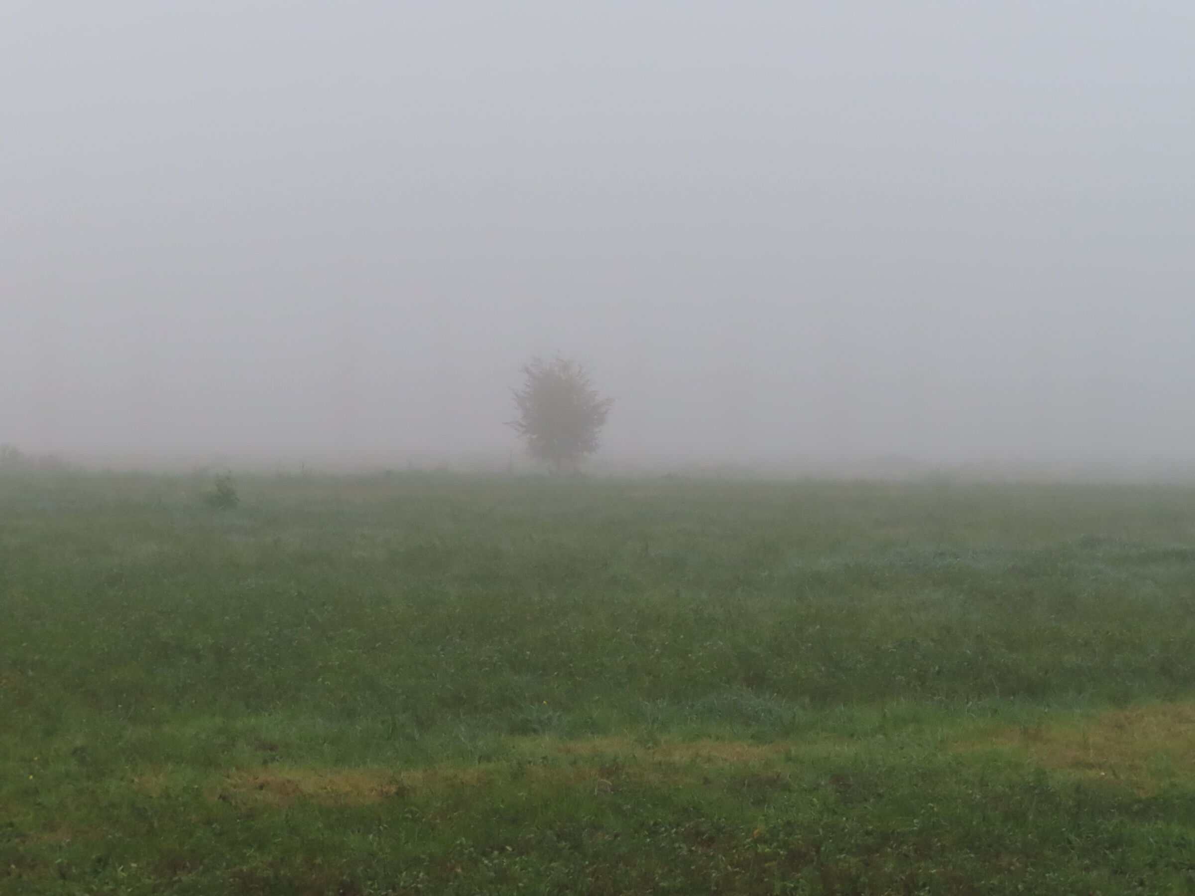 Una splendida giornata modenese