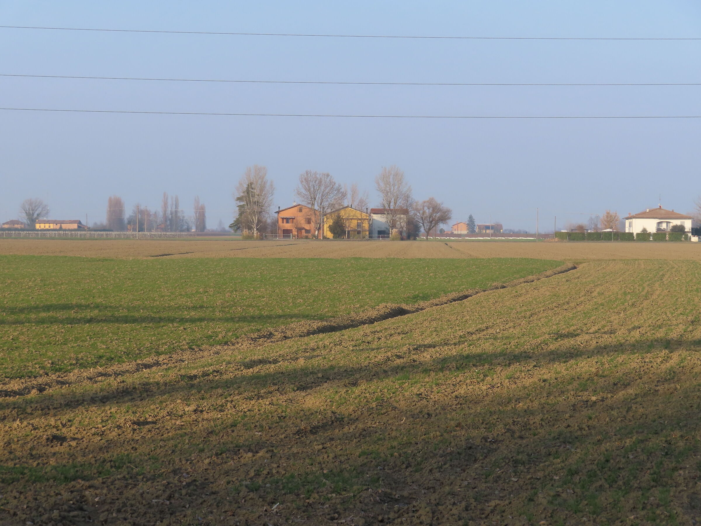 Peace in the Modena countryside: Bastille