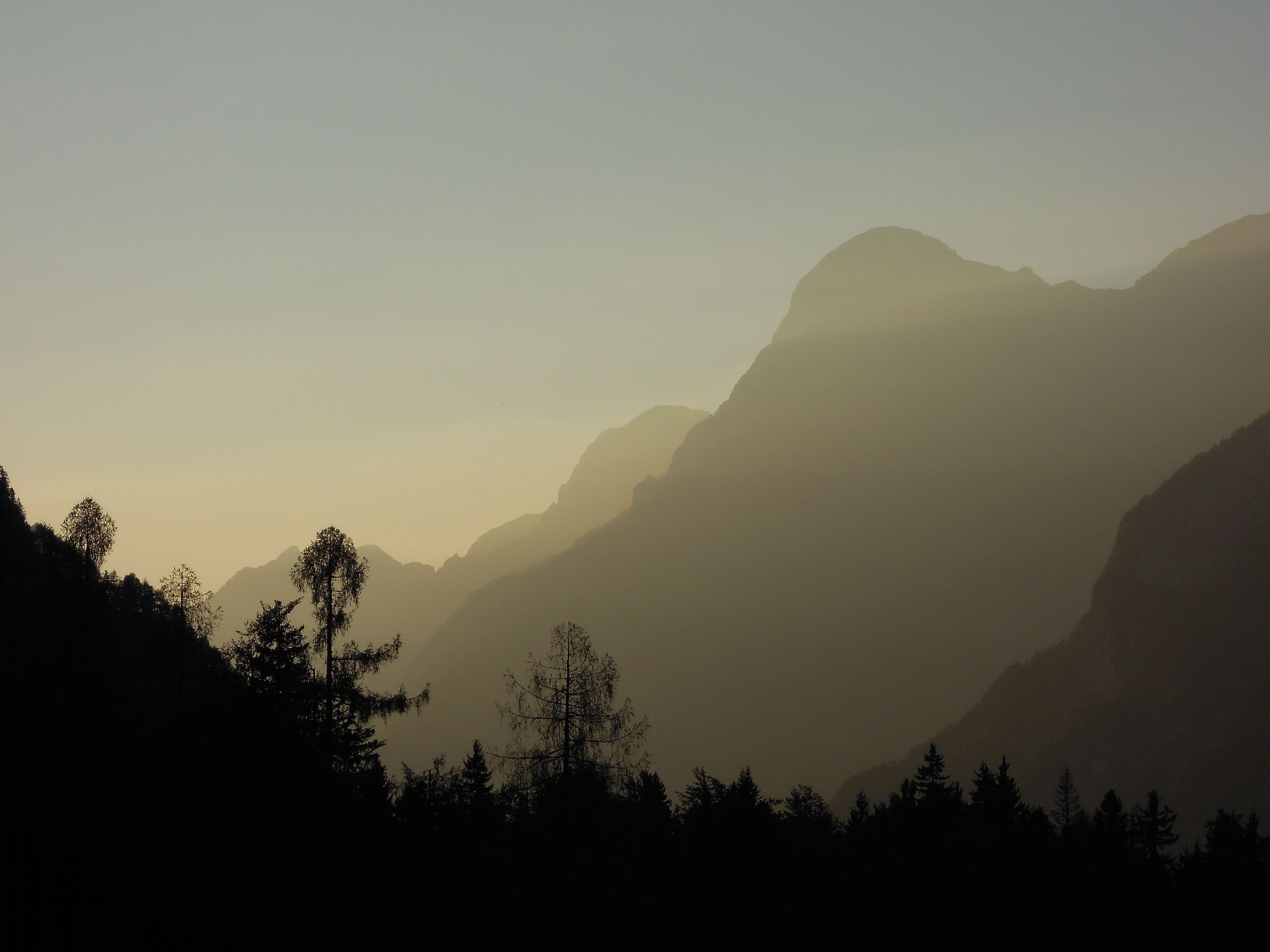 monte Cimone alpi Giulie