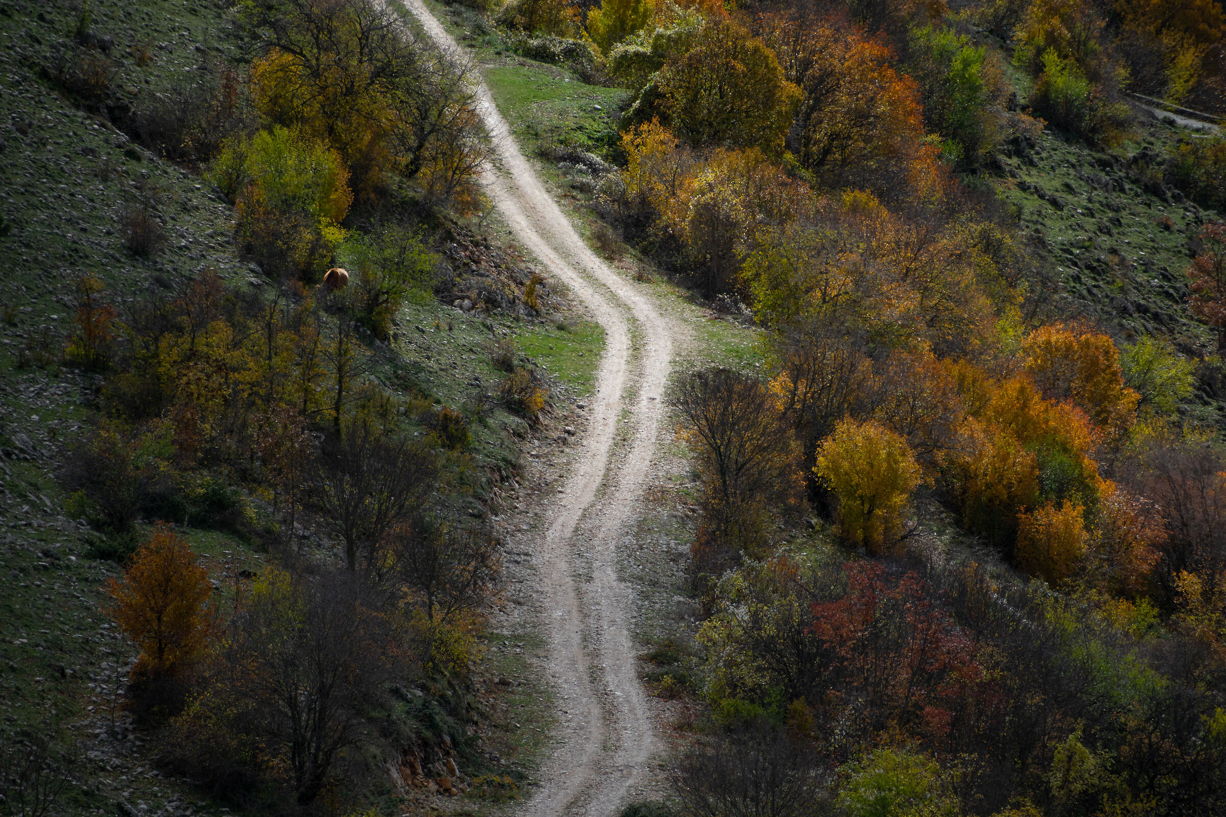 Untitled Photo