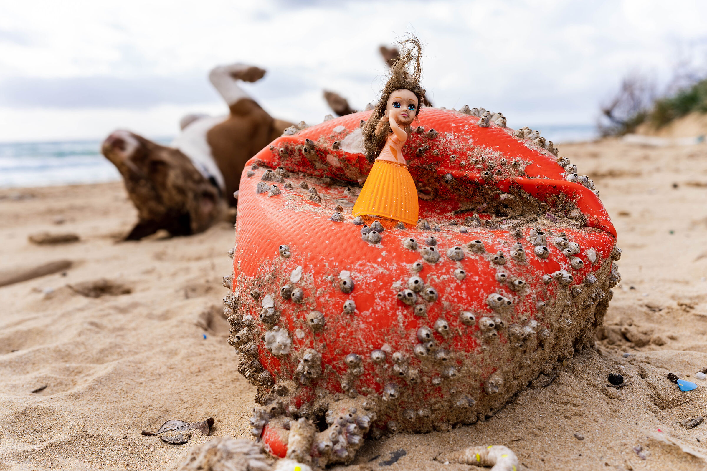 Dicembre in spiaggia, i ballerini