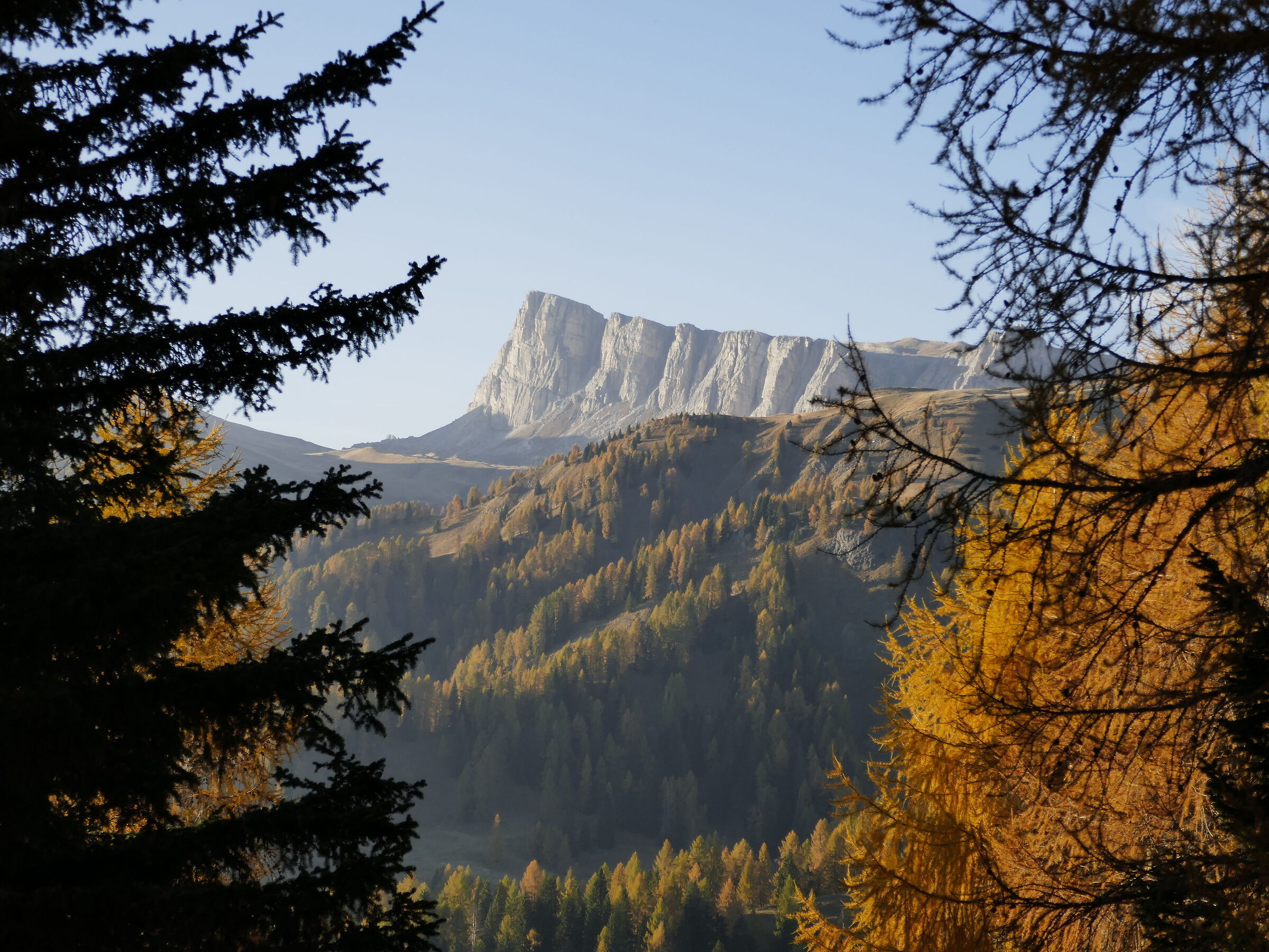 Lastoi