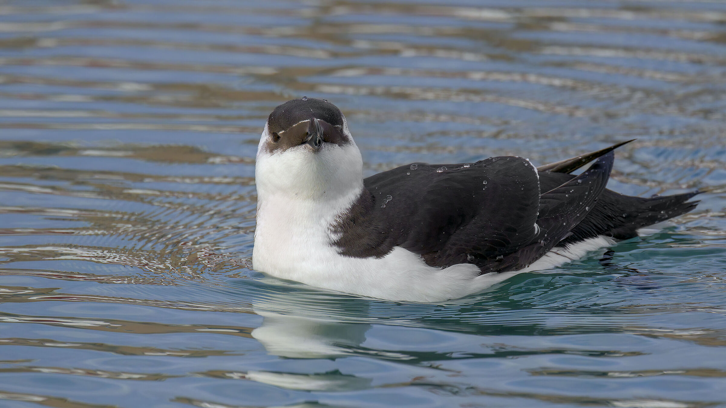 Piacevole sorpresa...