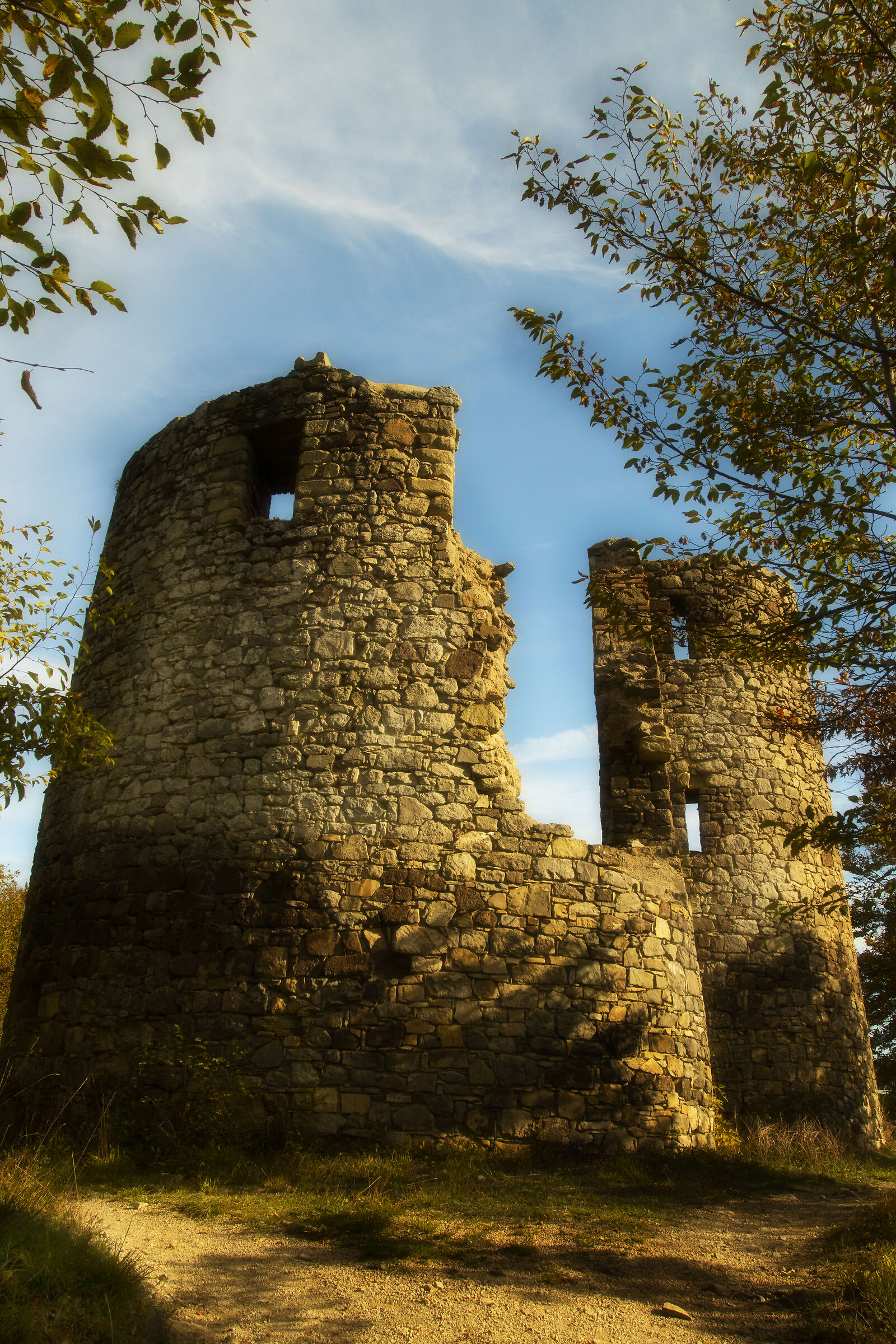 Fort back