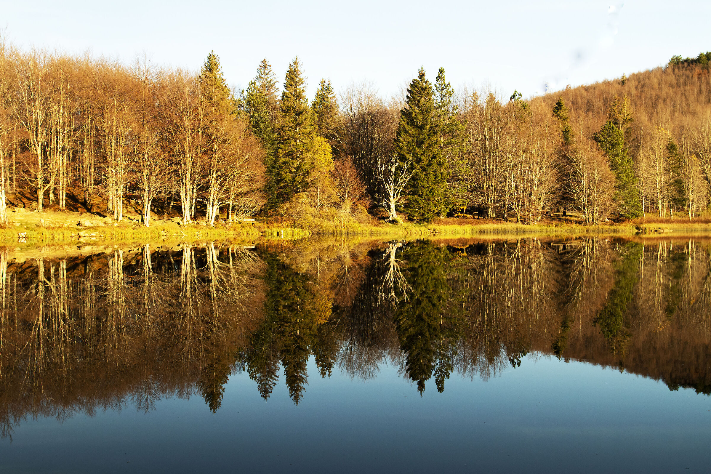 Mirror lake