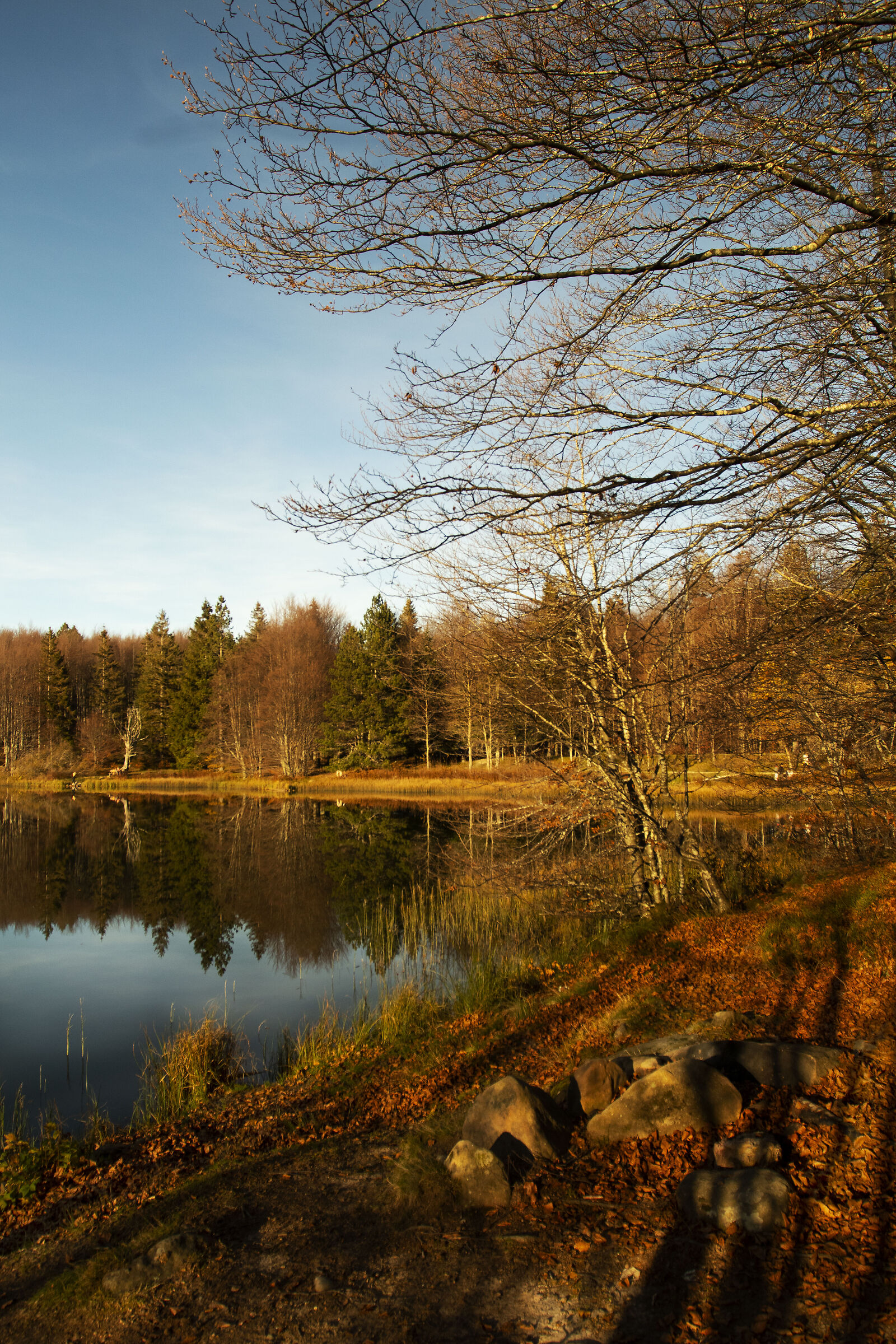 Mirror Lake 2