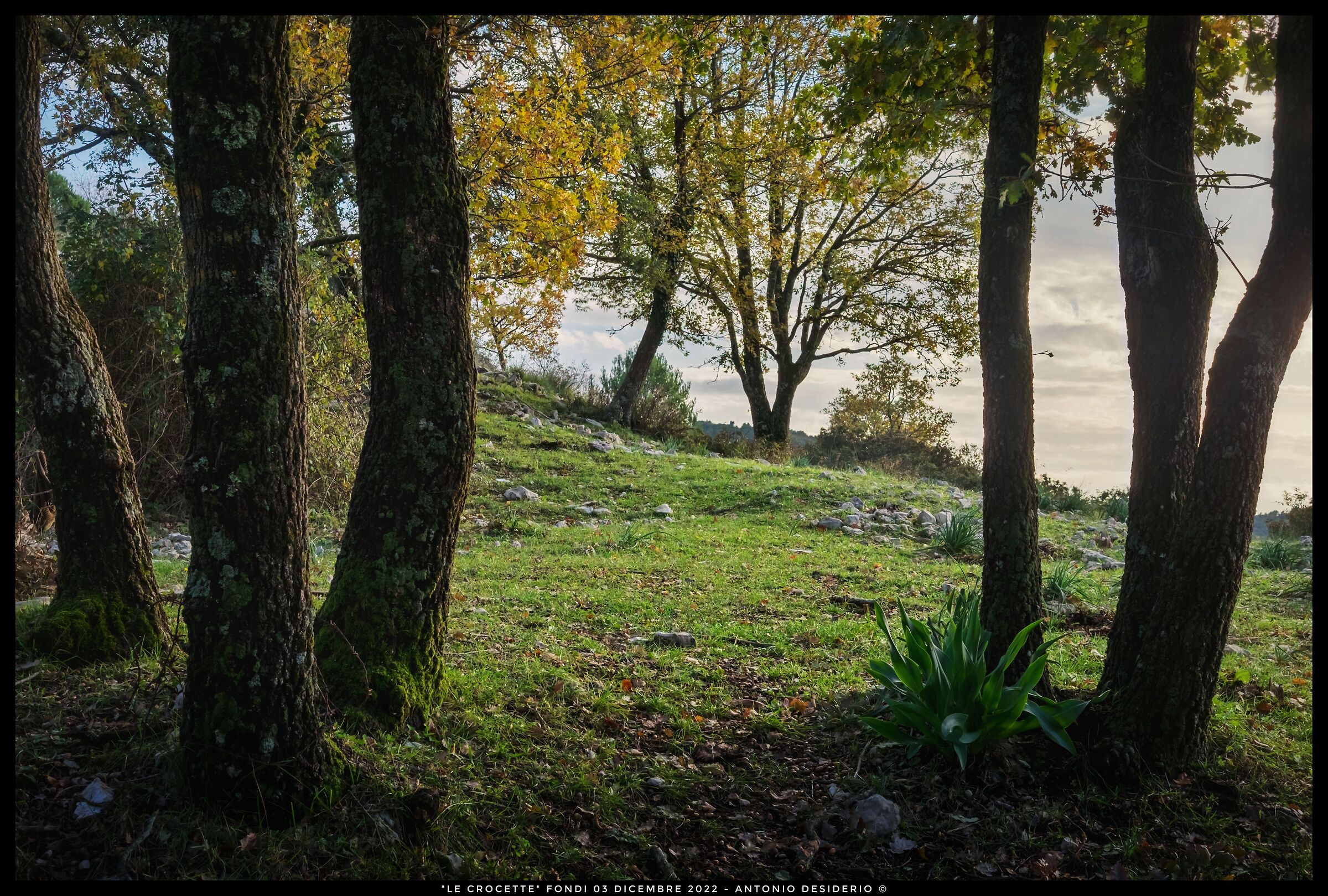 A late autumn afternoon...