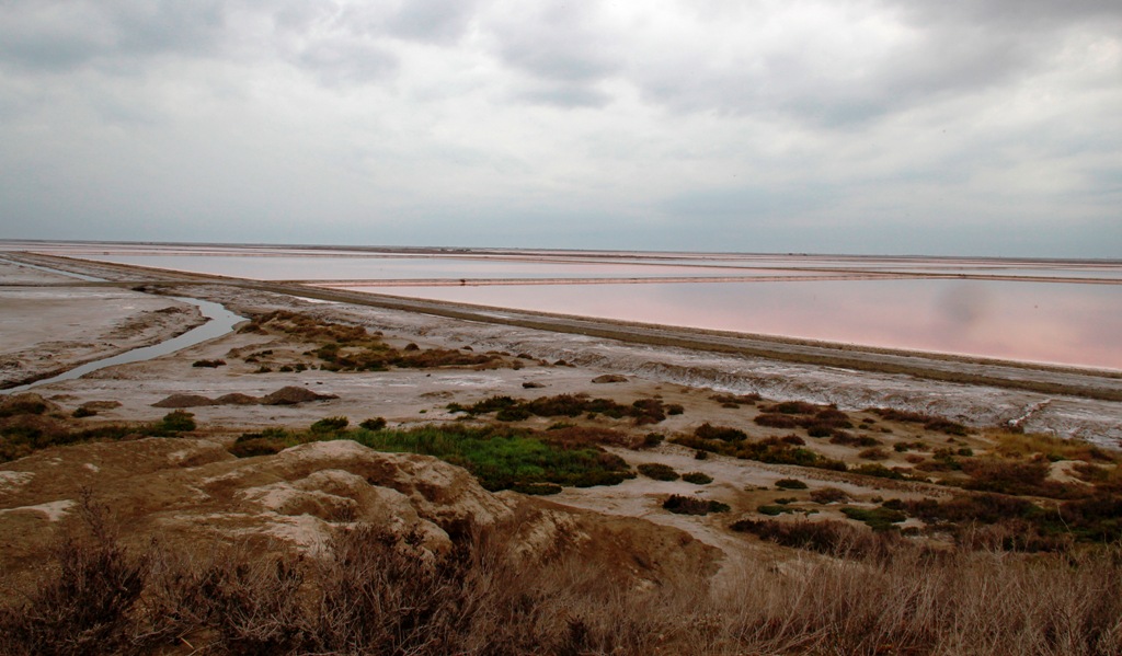 Saline de giraud