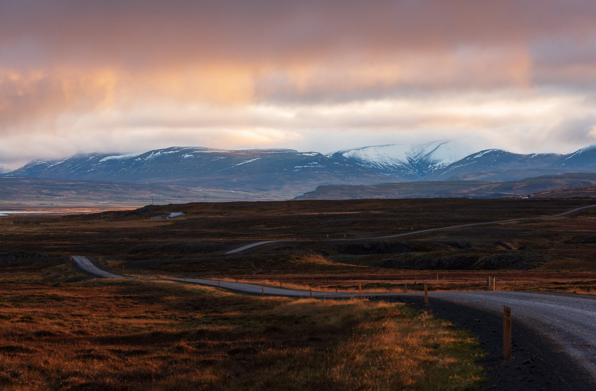 Strade selvagge
