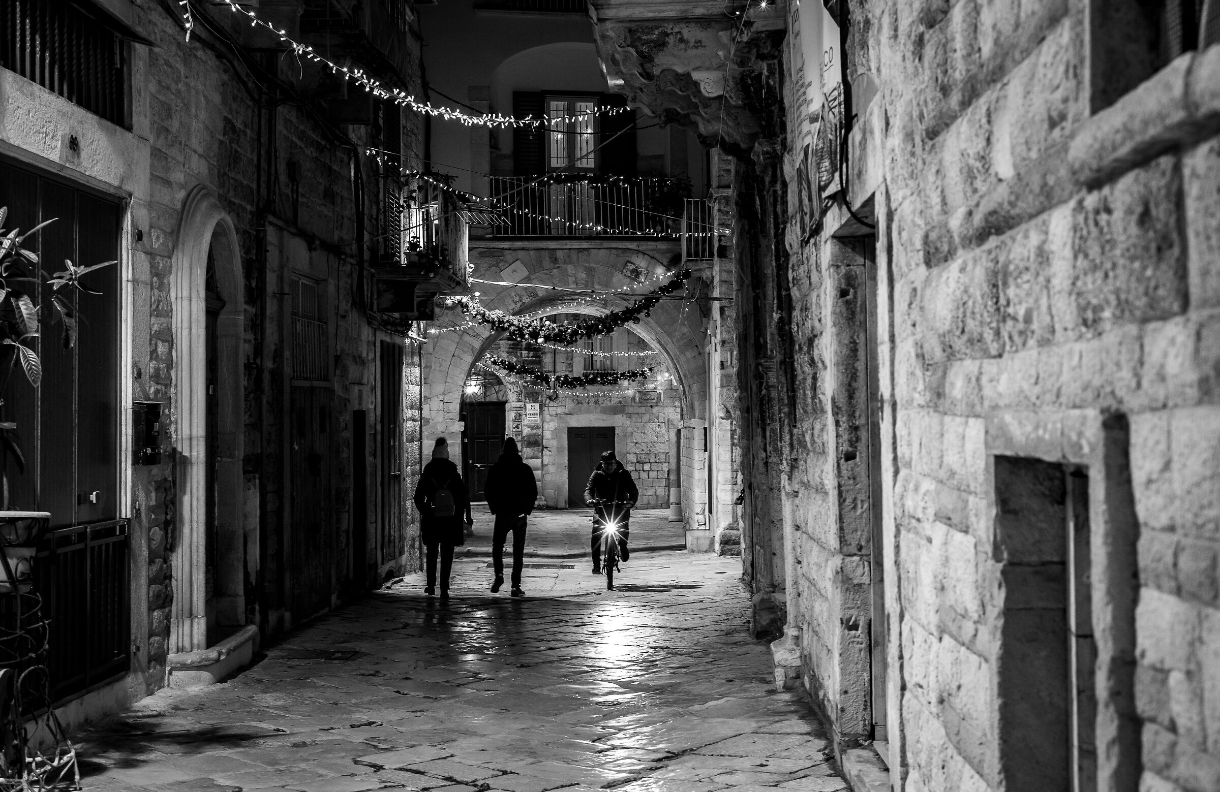 Passeggiando in bicicletta