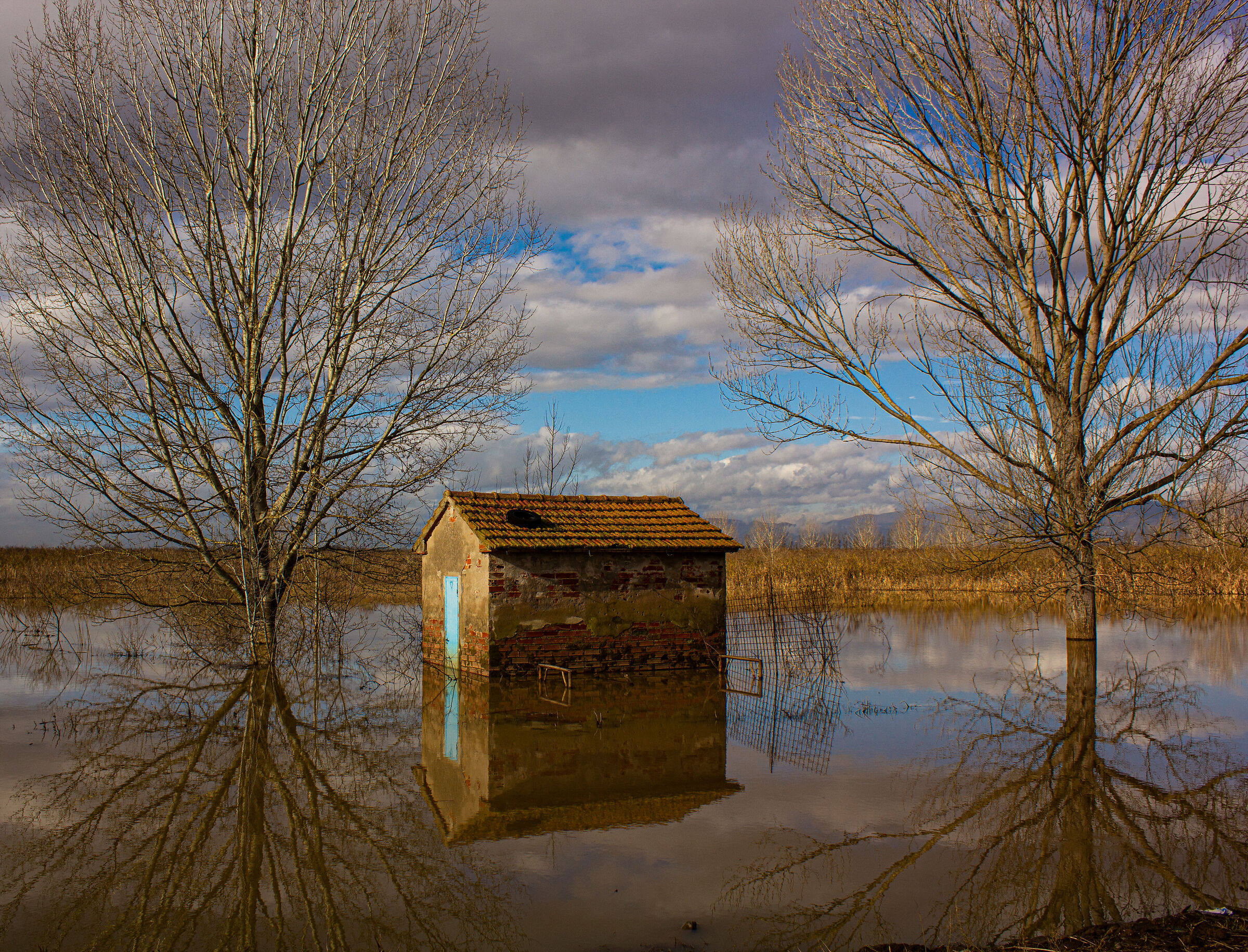 Fucecchio Marshes