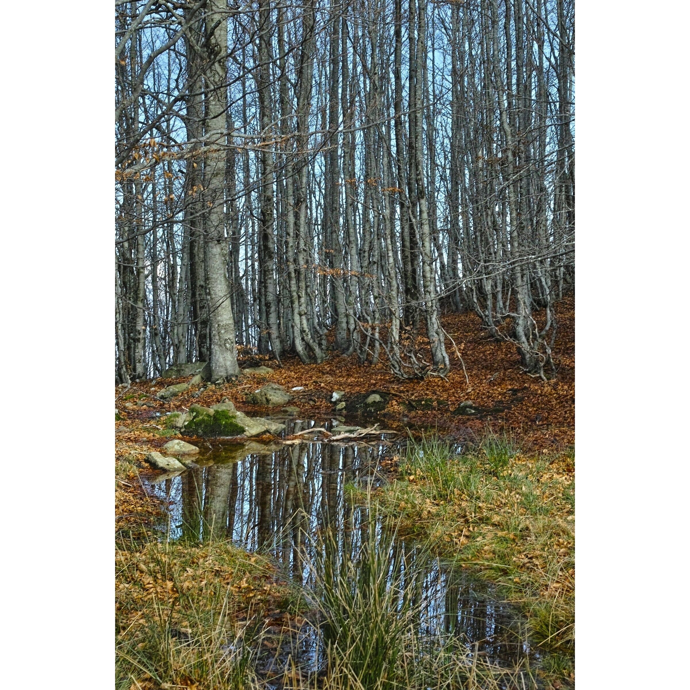 Untitled Photo