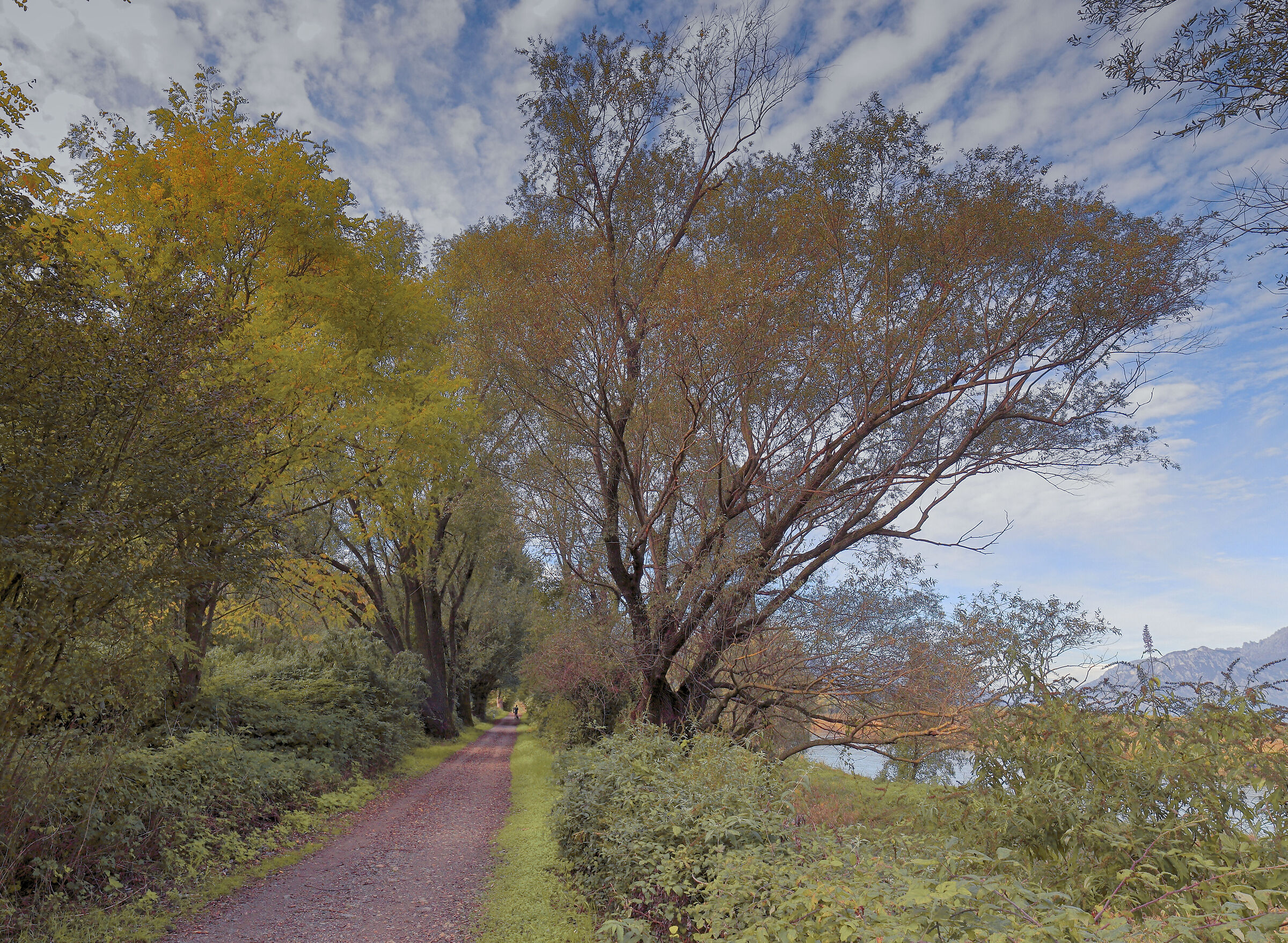 Highroad