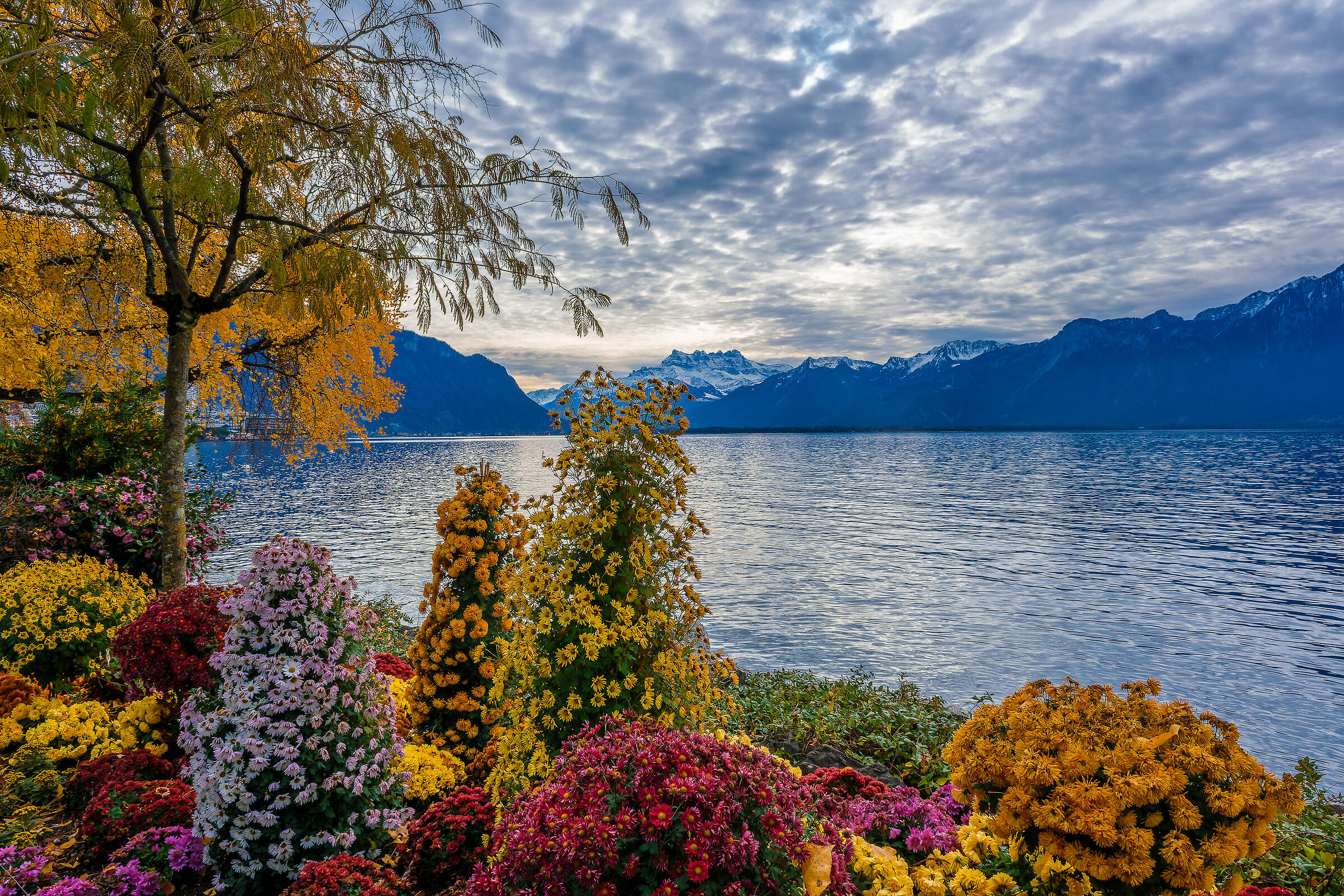 Montreux - Lake Geneva