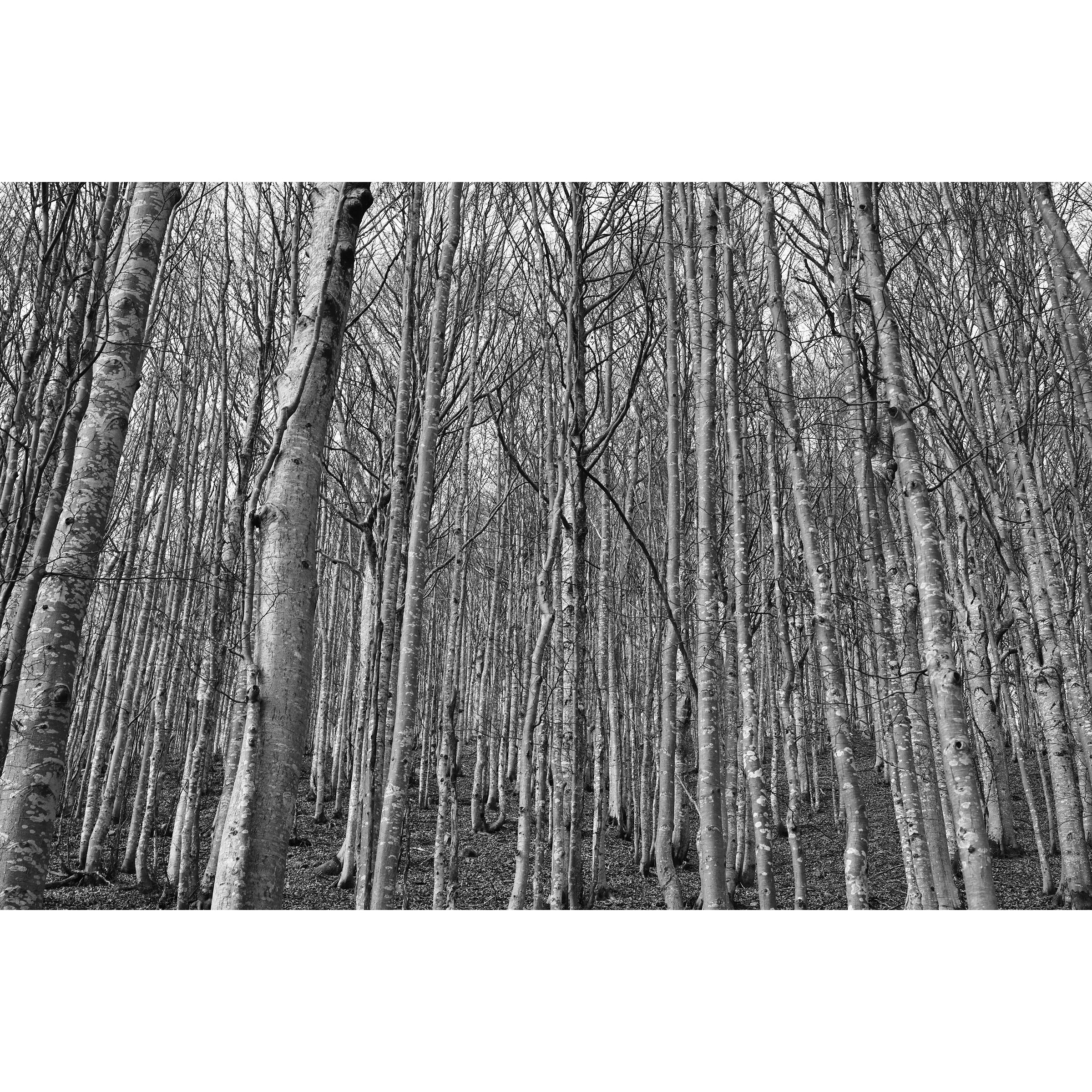 Untitled Photo